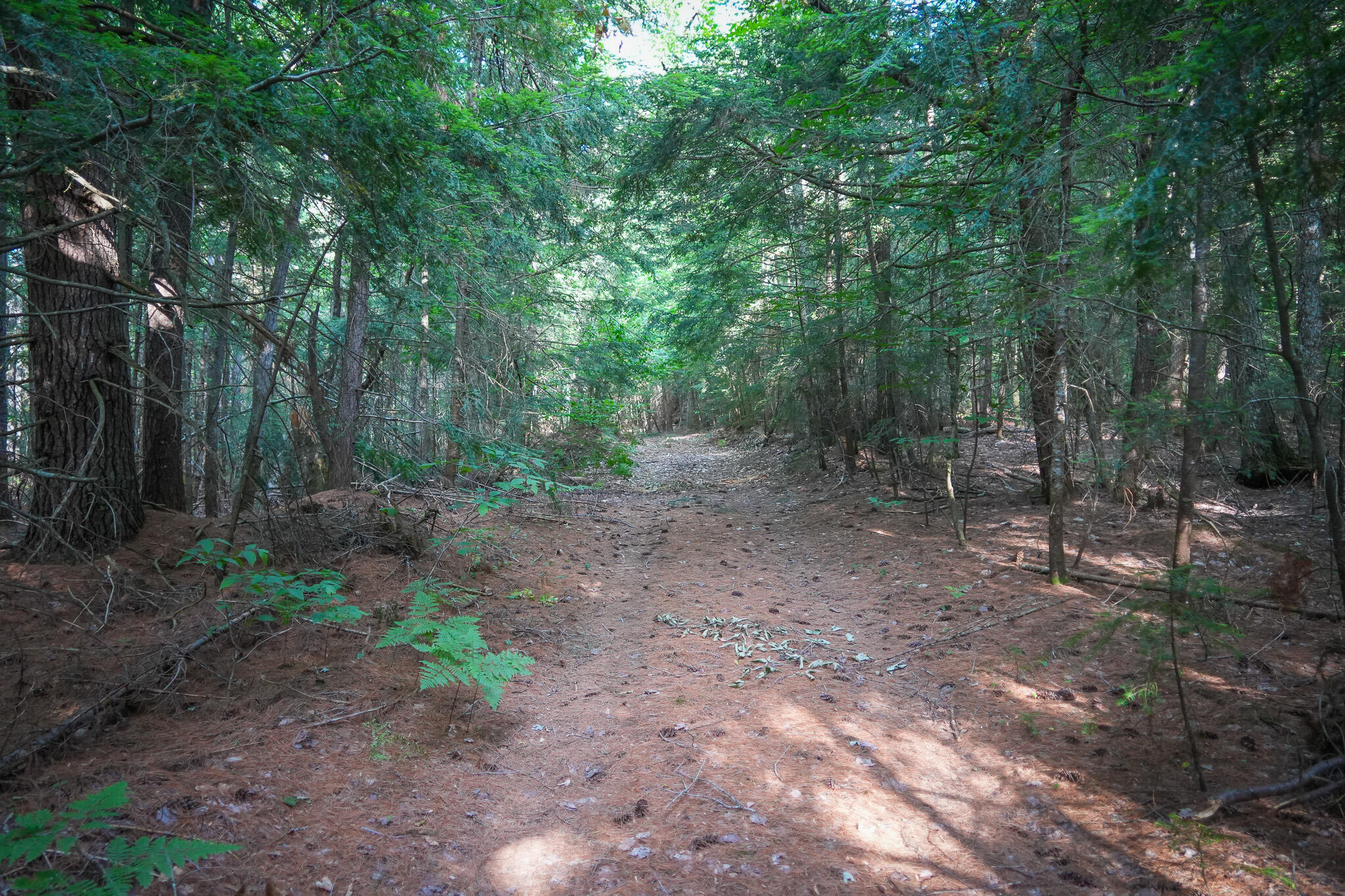 3505 N Timber Lost Road Property Photo 51