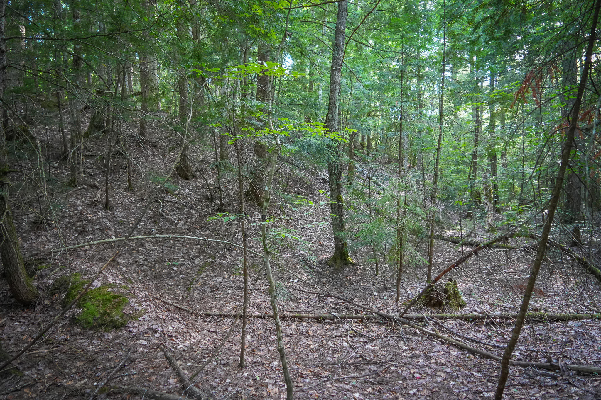 3505 N Timber Lost Road Property Photo 53