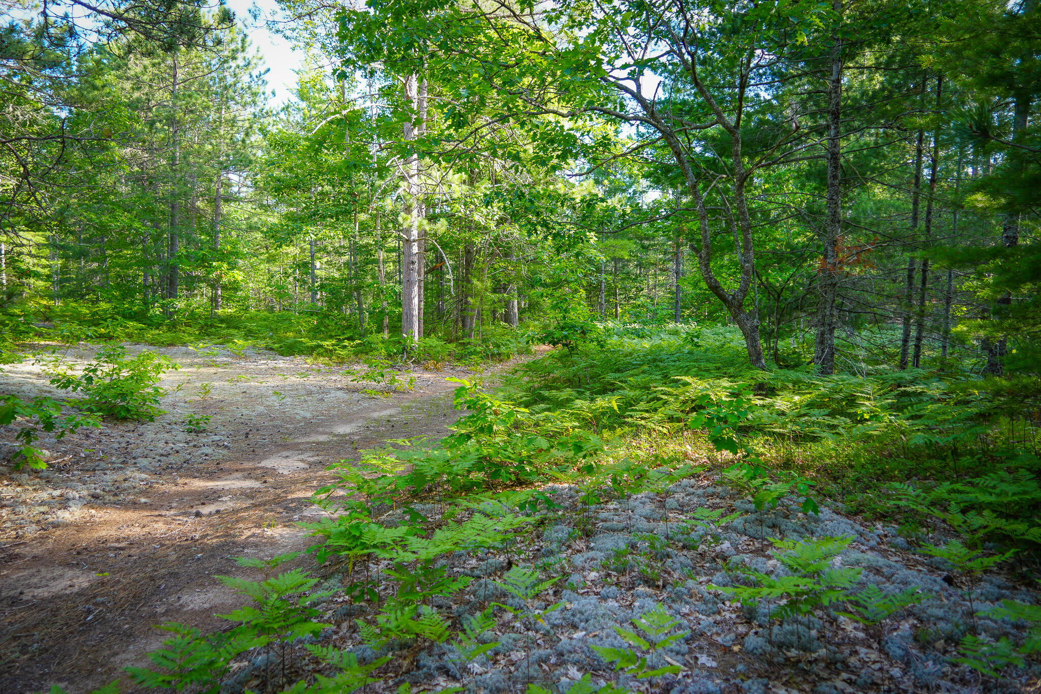 3505 N Timber Lost Road Property Photo 57