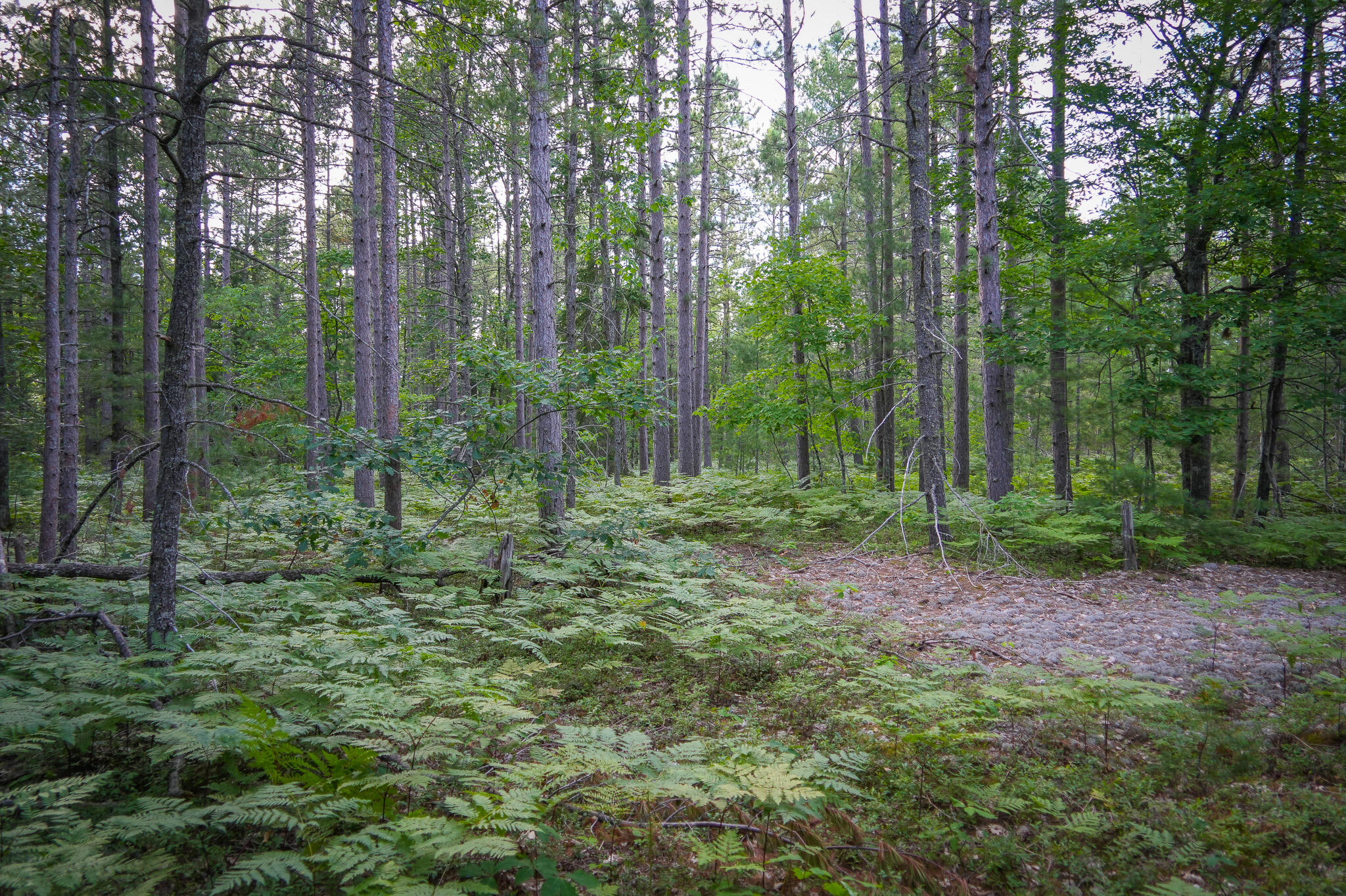3505 N Timber Lost Road Property Photo 58