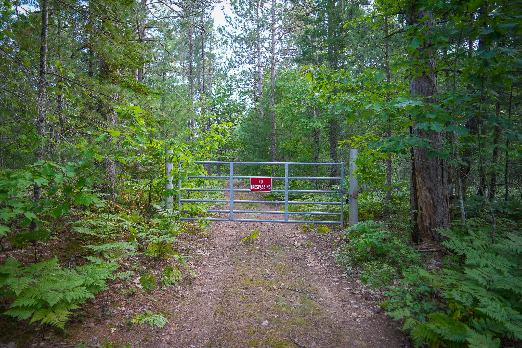 3505 N Timber Lost Road Property Photo 62