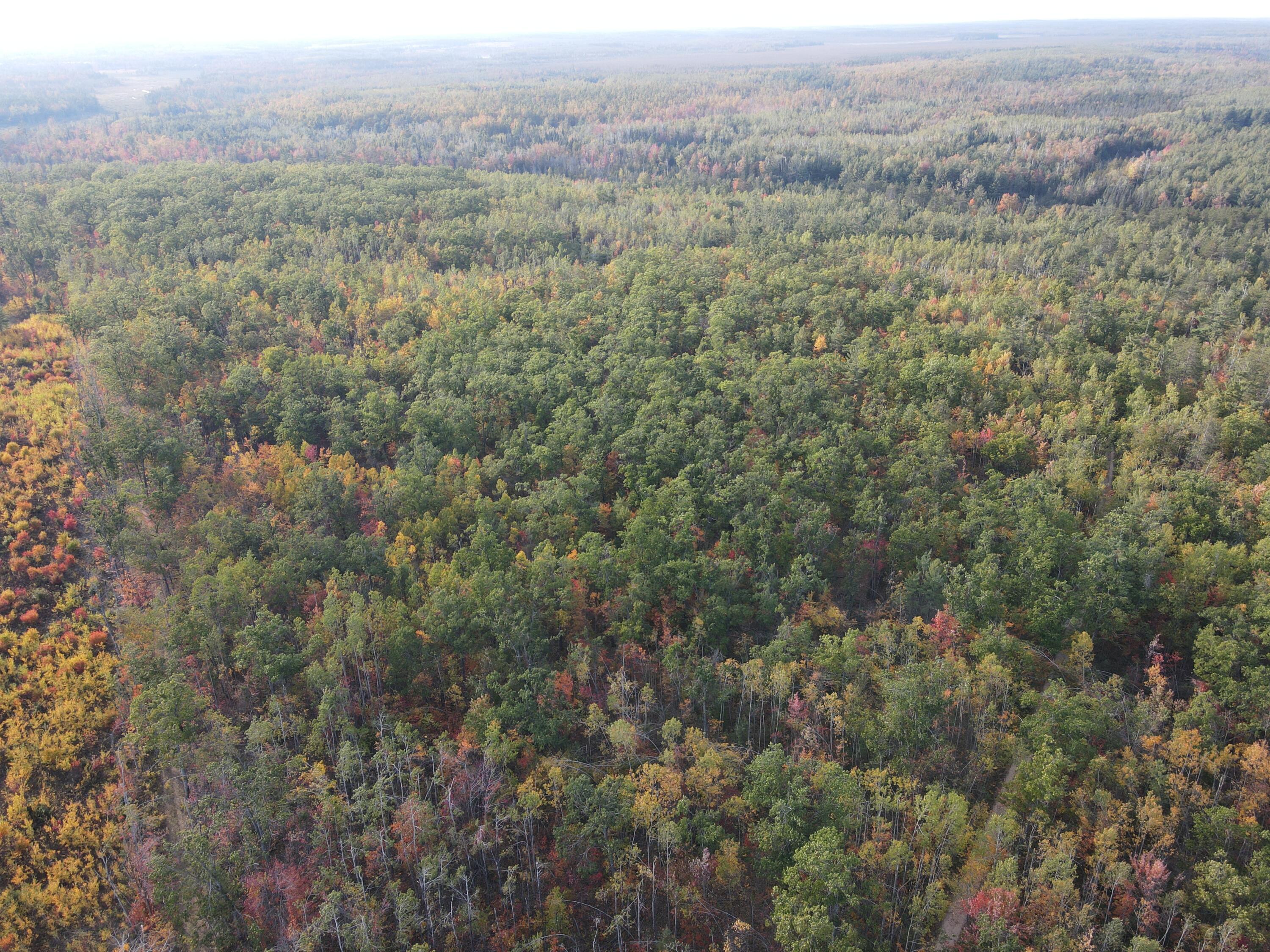22006 Bowden Trail Property Photo 8