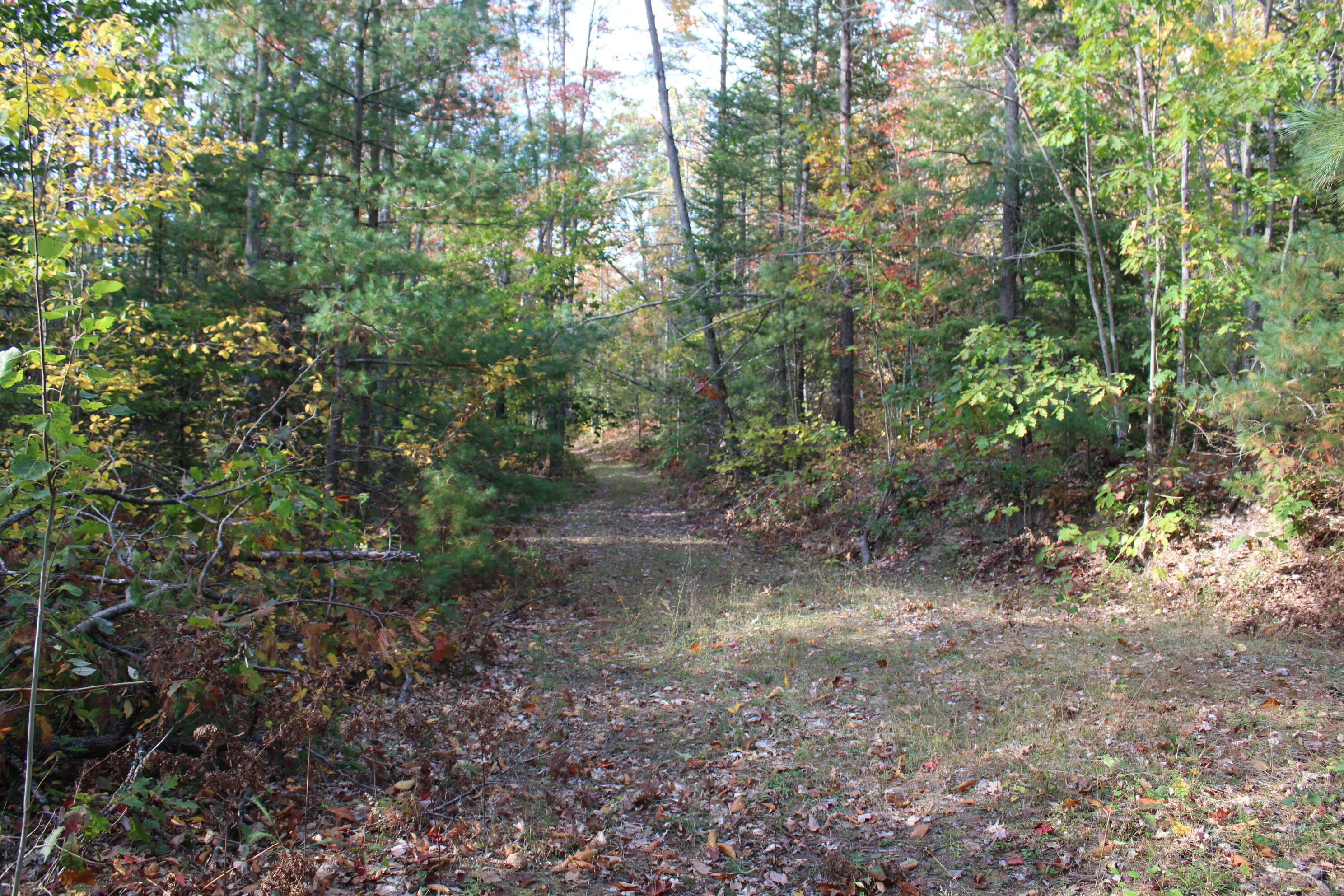 22006 Bowden Trail Property Photo 12