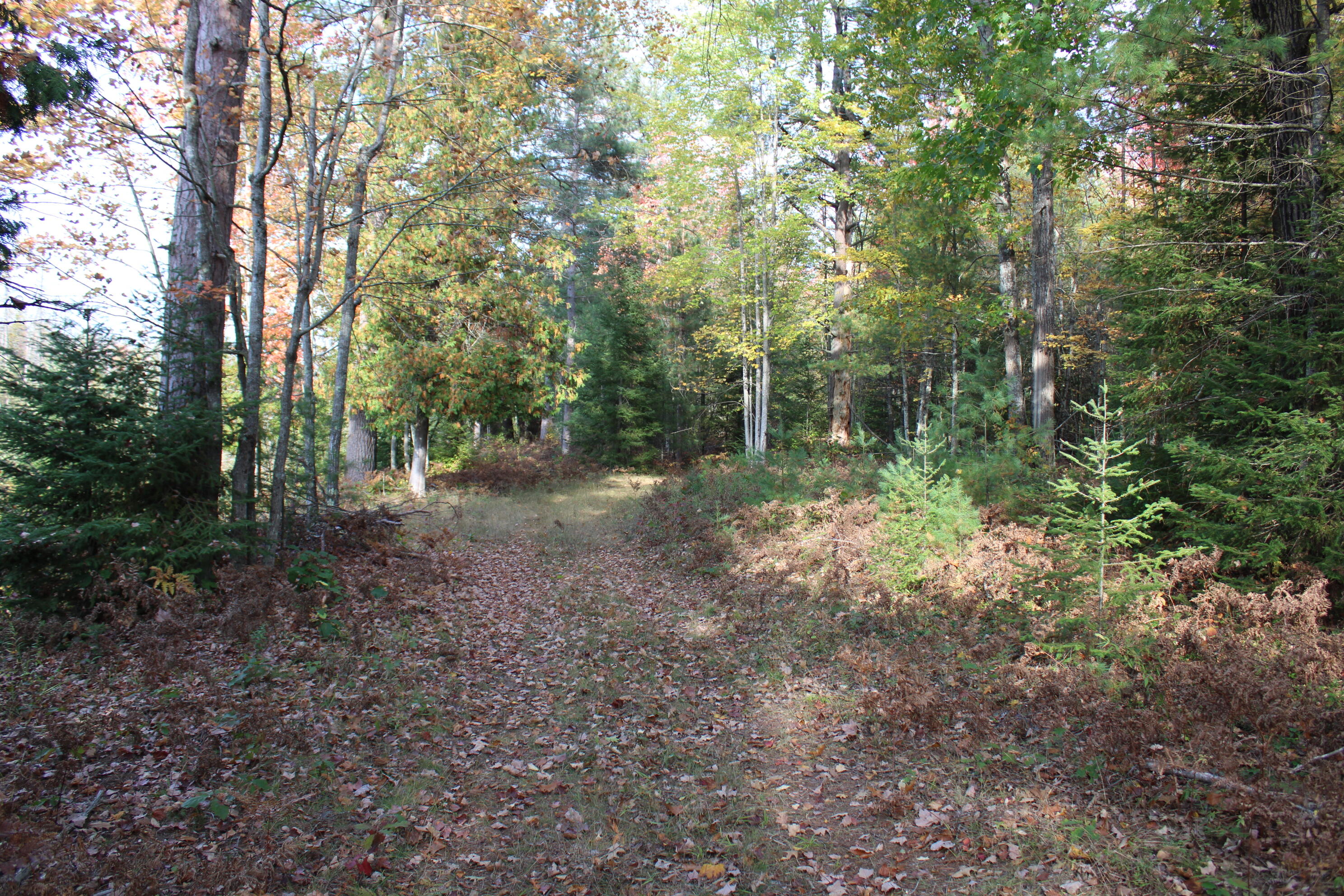 22006 Bowden Trail Property Photo 17