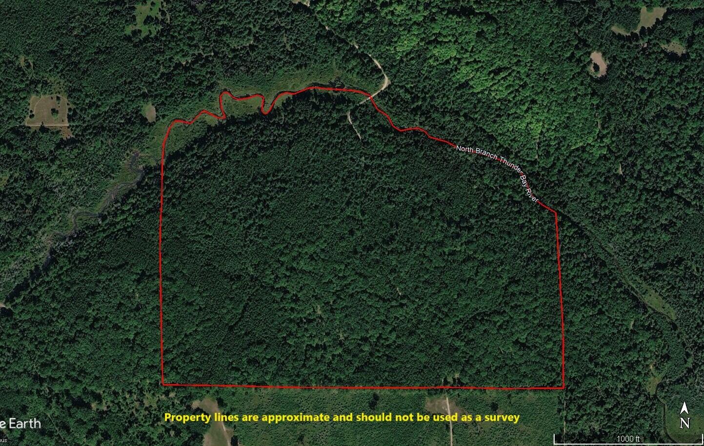 22006 A Bowden Trail Property Photo 2