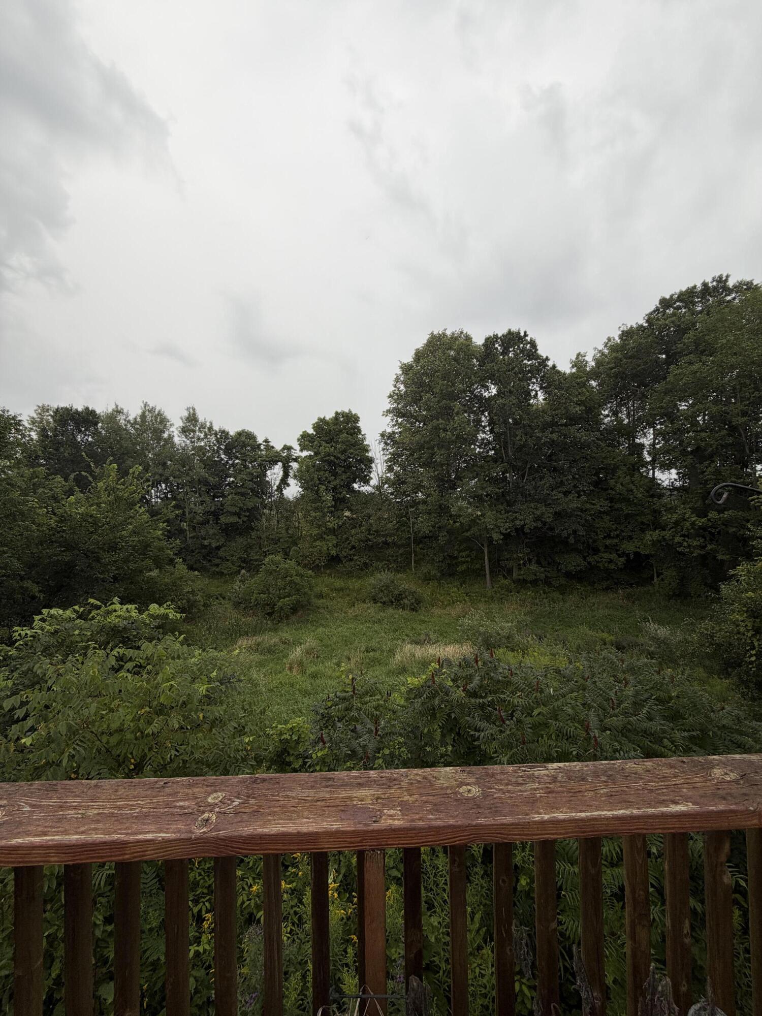 12215 Leonard Road Property Photo 6