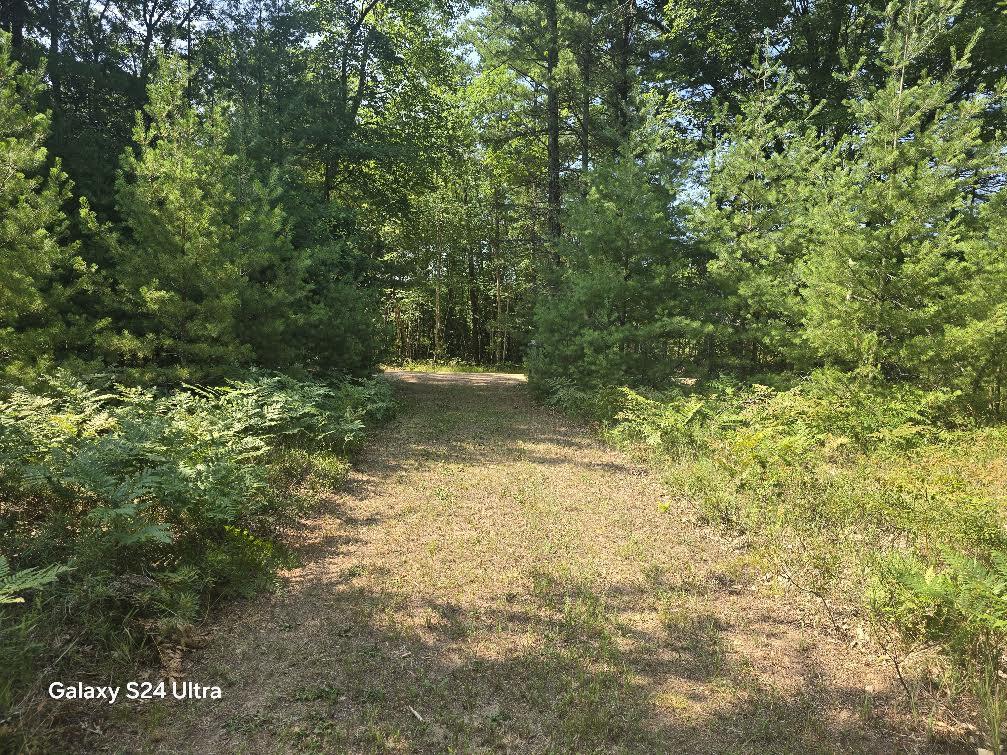 10652 N River Road Property Photo 3