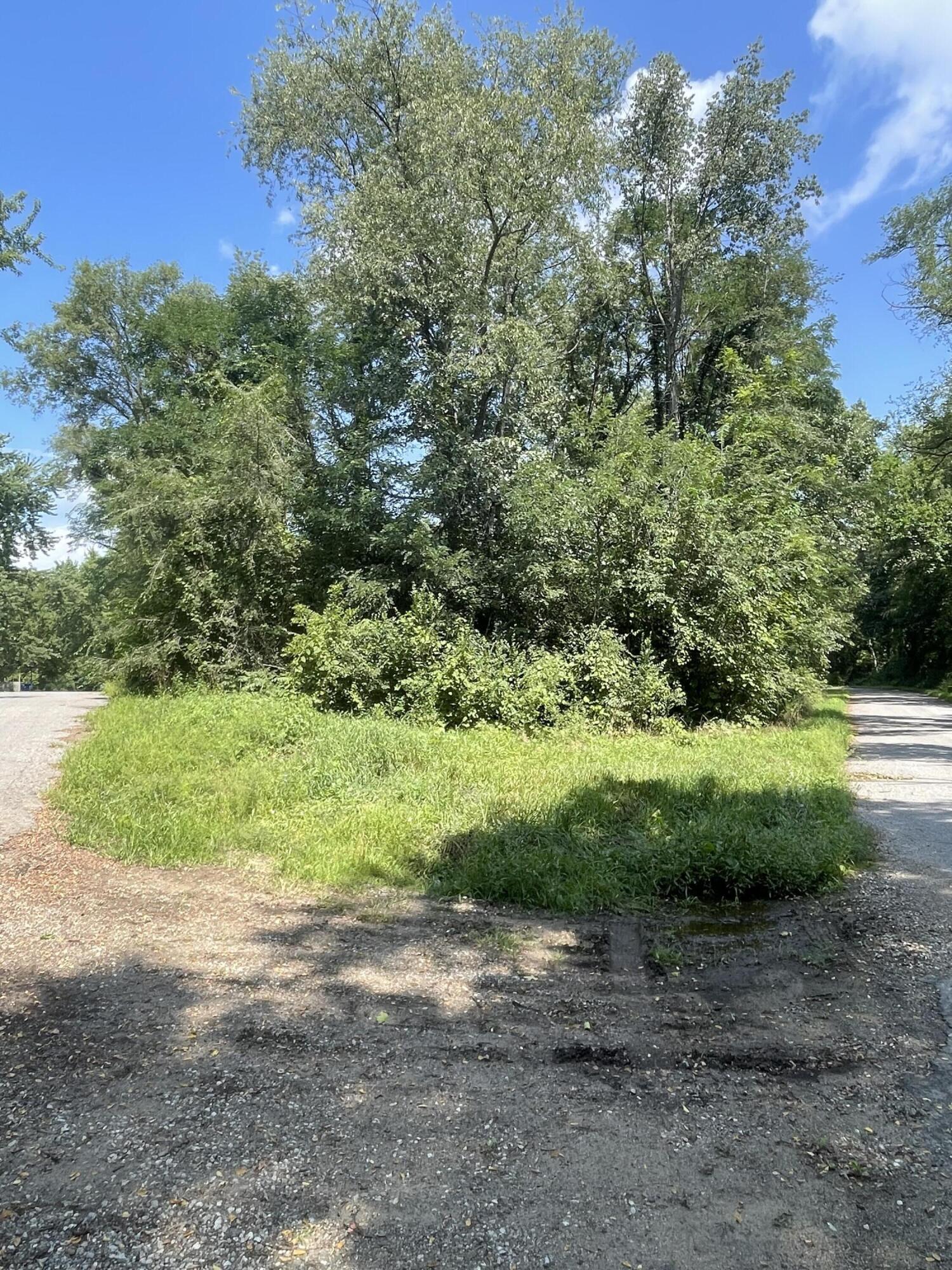 28624 Wilson Drive Property Photo 9