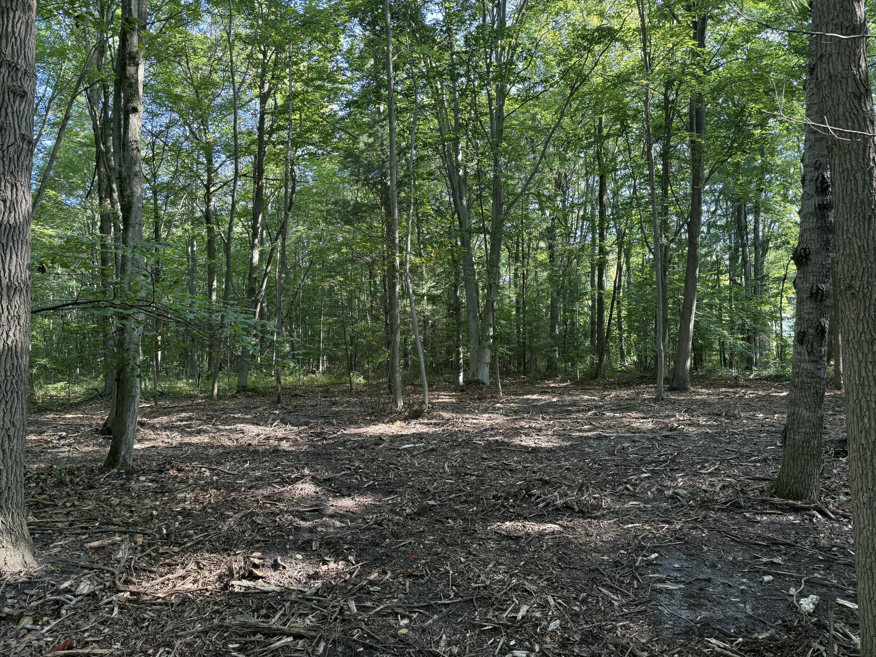 Vl Par B Buchanan Property Photo 6
