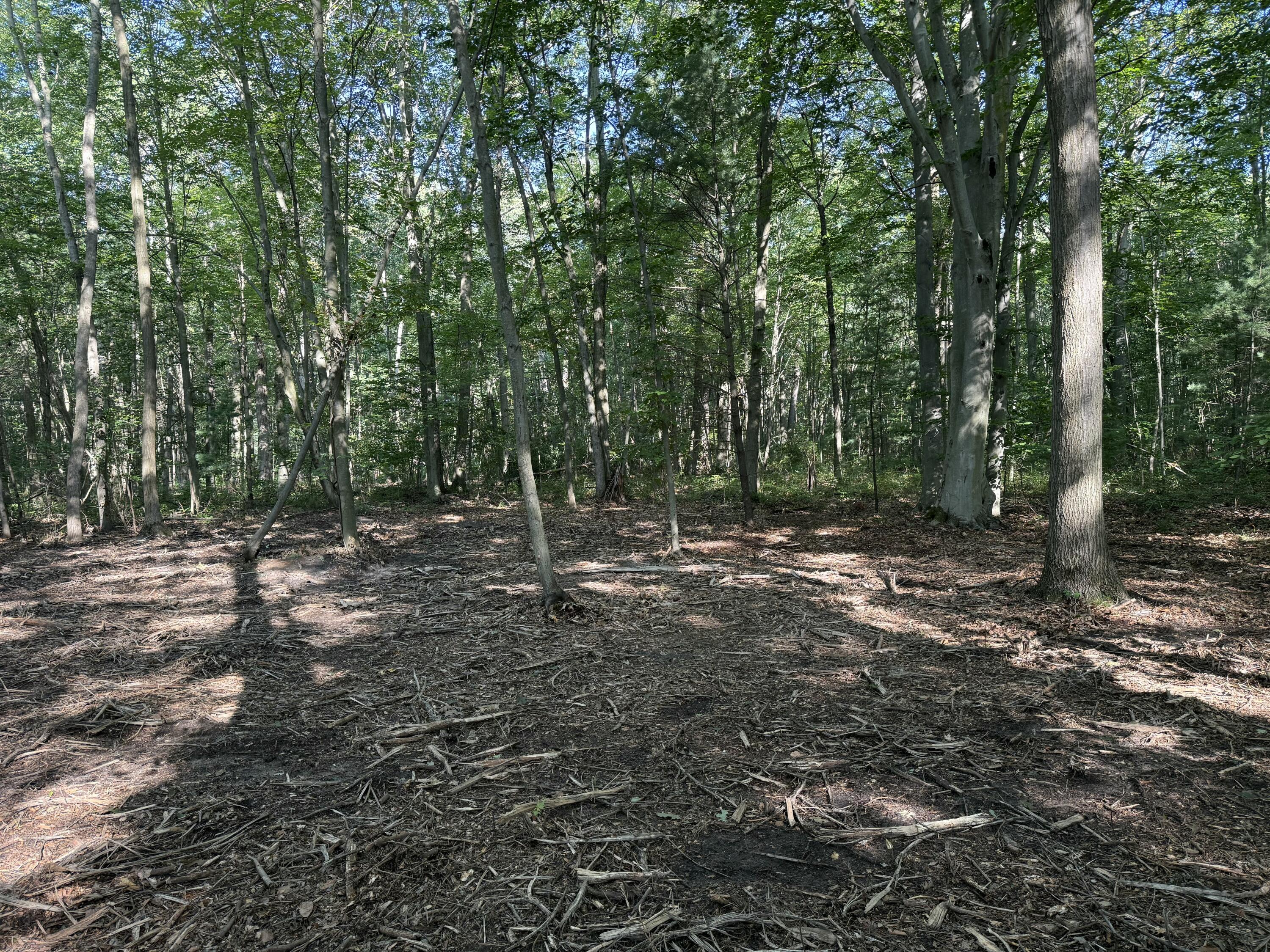 Vl Par B Buchanan Property Photo 7