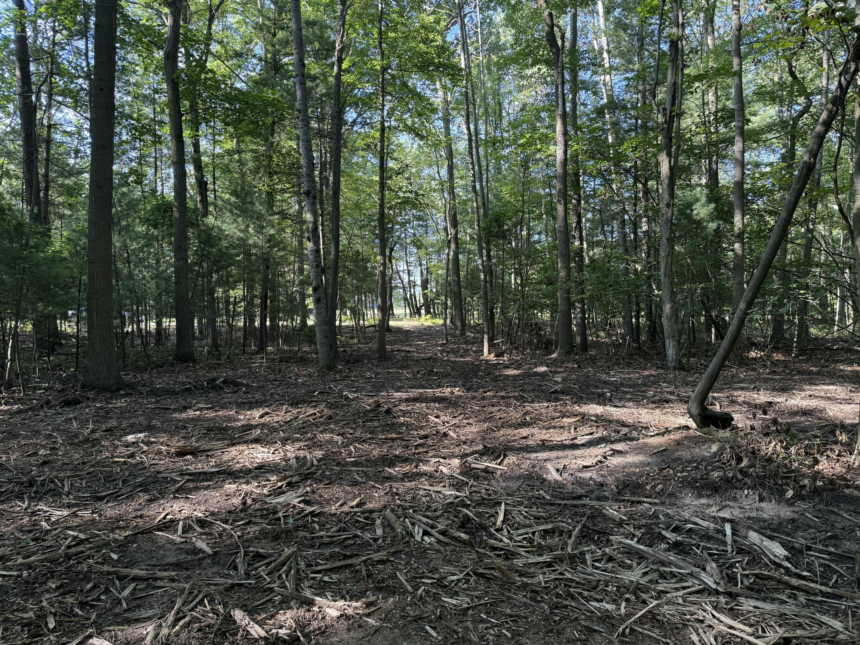 Vl Par B Buchanan Property Photo 8