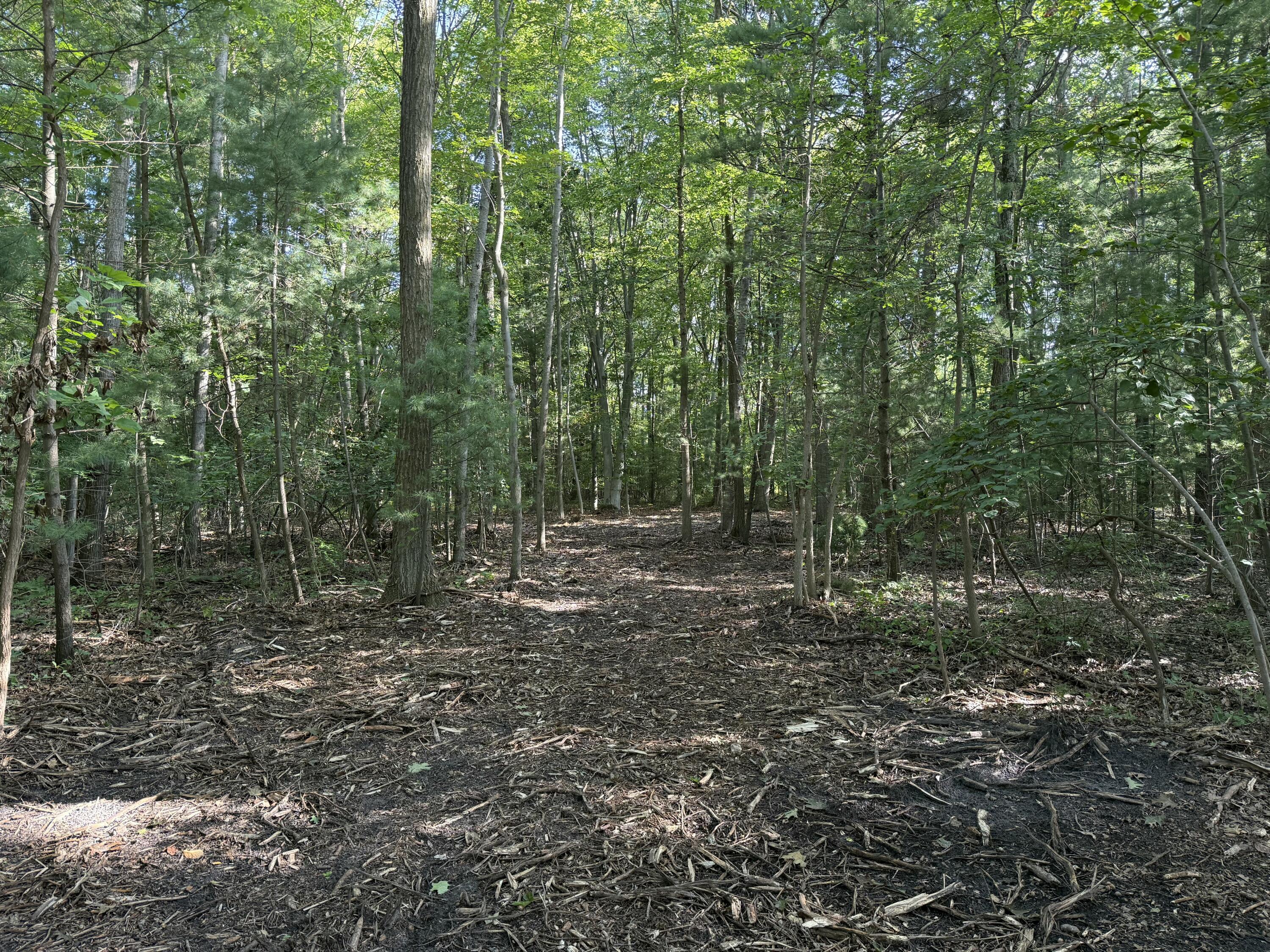 Vl Par B Buchanan Property Photo 9