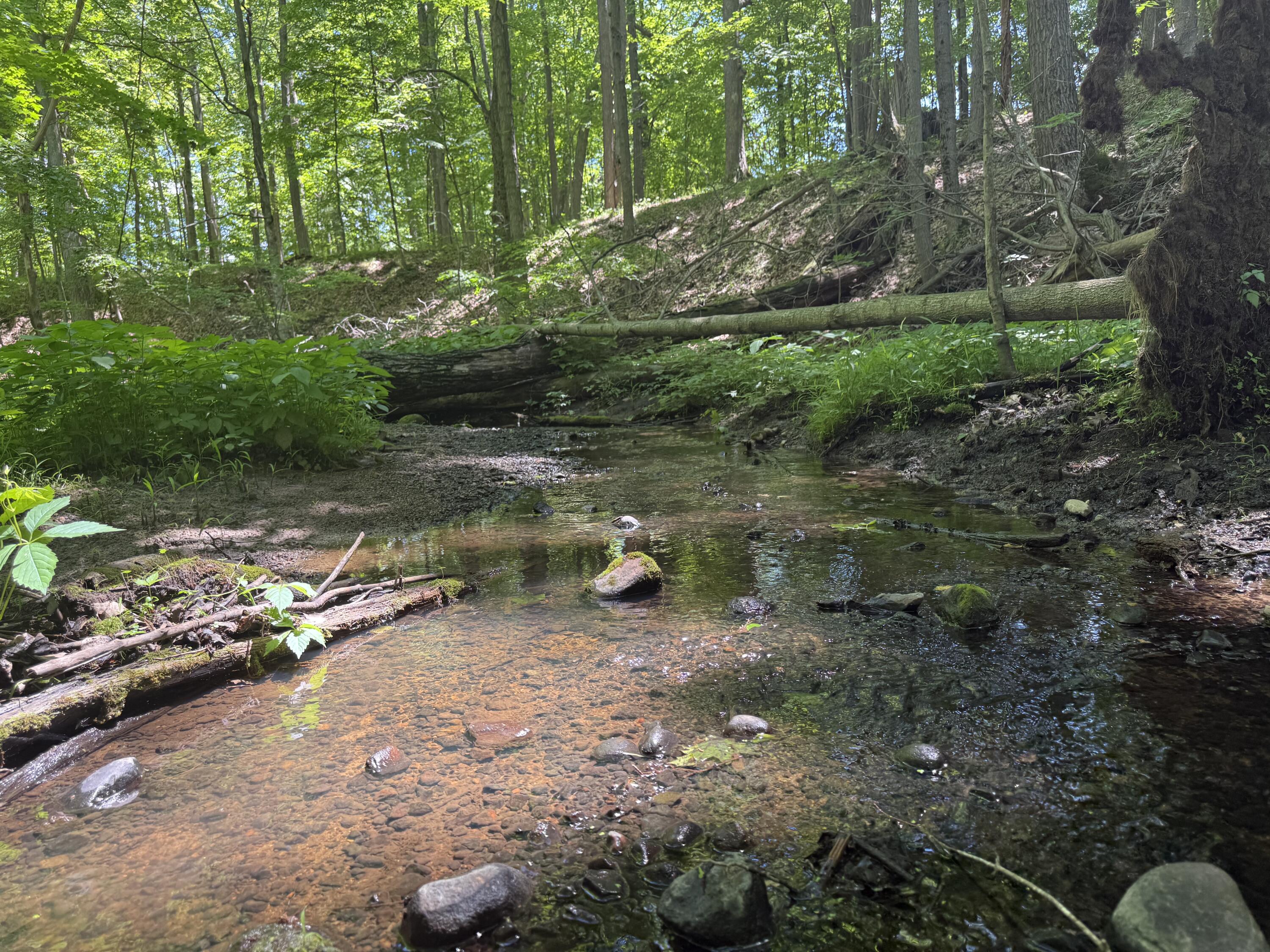 Hagerman Road Property Photo 1
