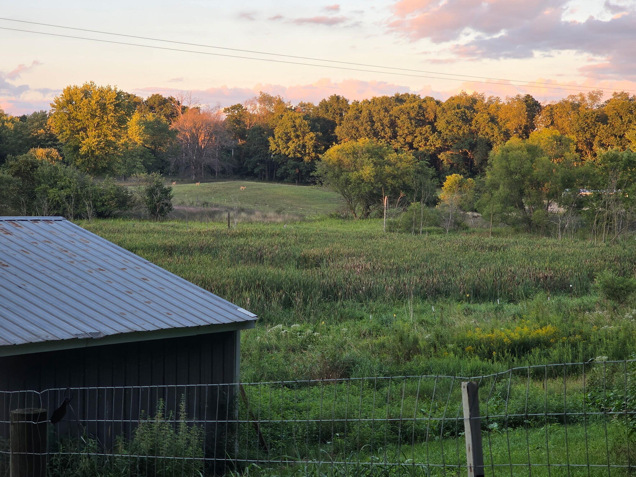 5516 Bartonville Road Property Photo 35