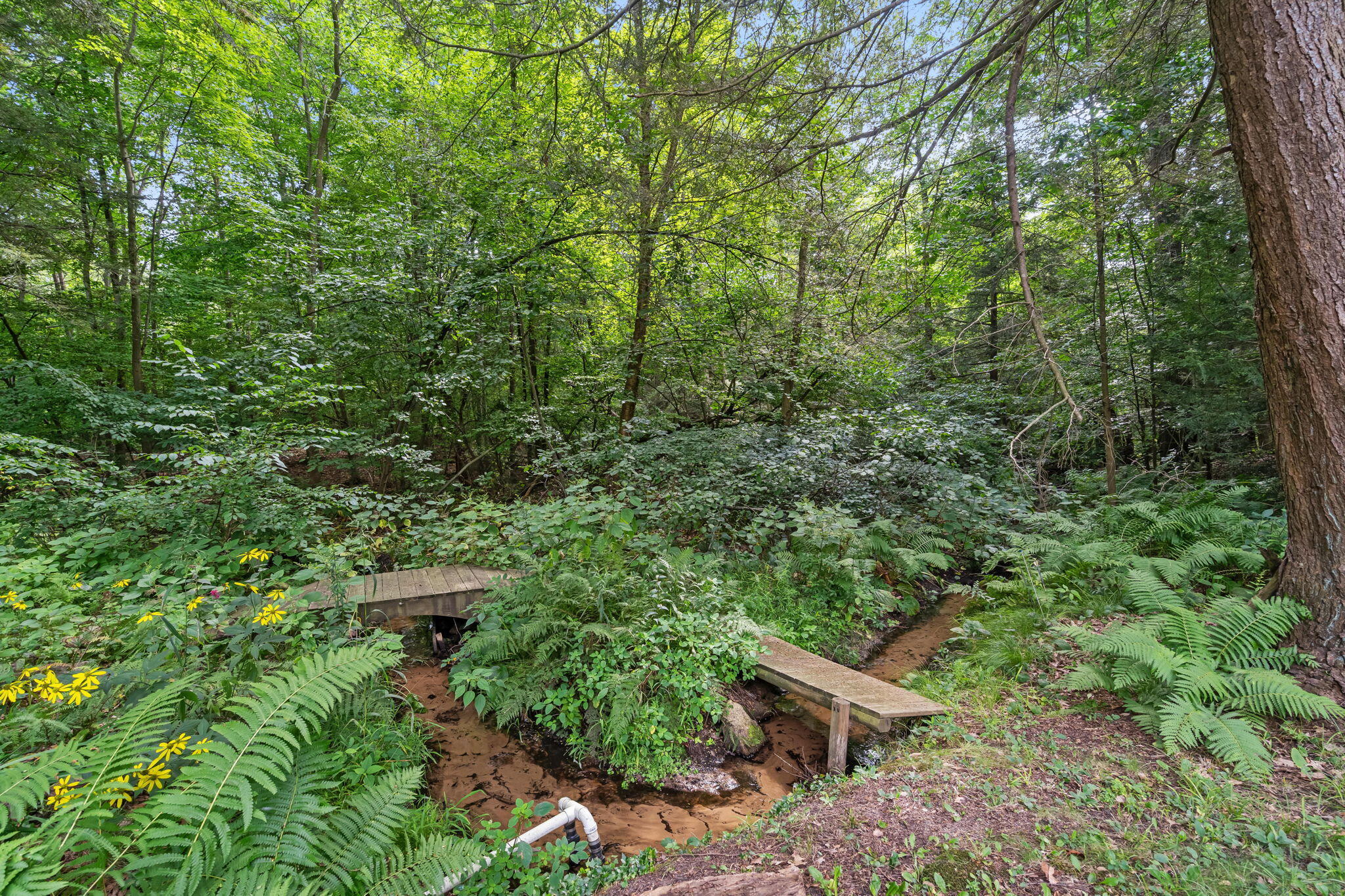 18145 148th Avenue Property Photo 62