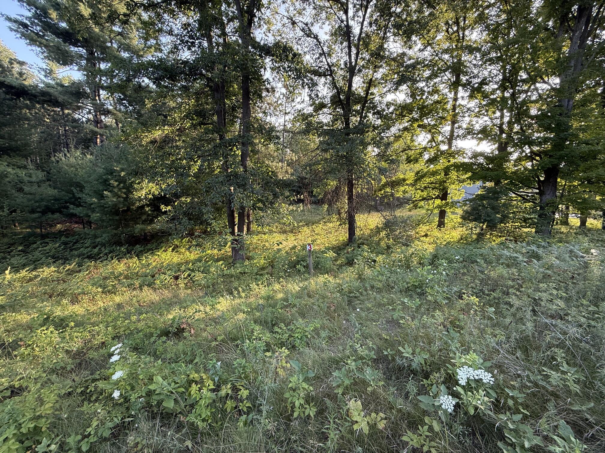 16345 Mitchell Creek Trail Property Photo 1