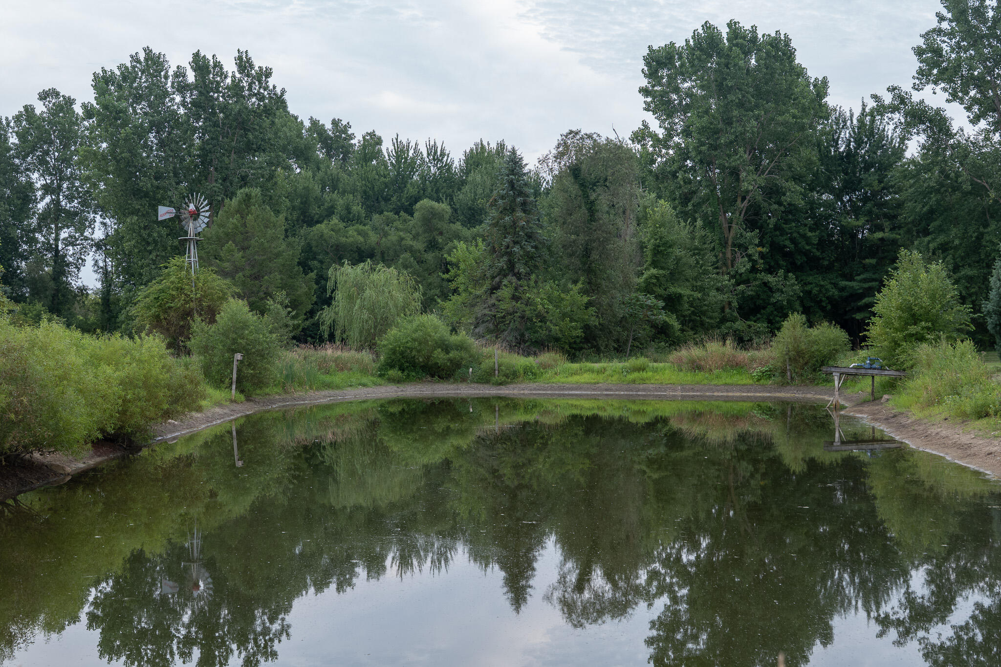 12680 Day Road Property Photo 43