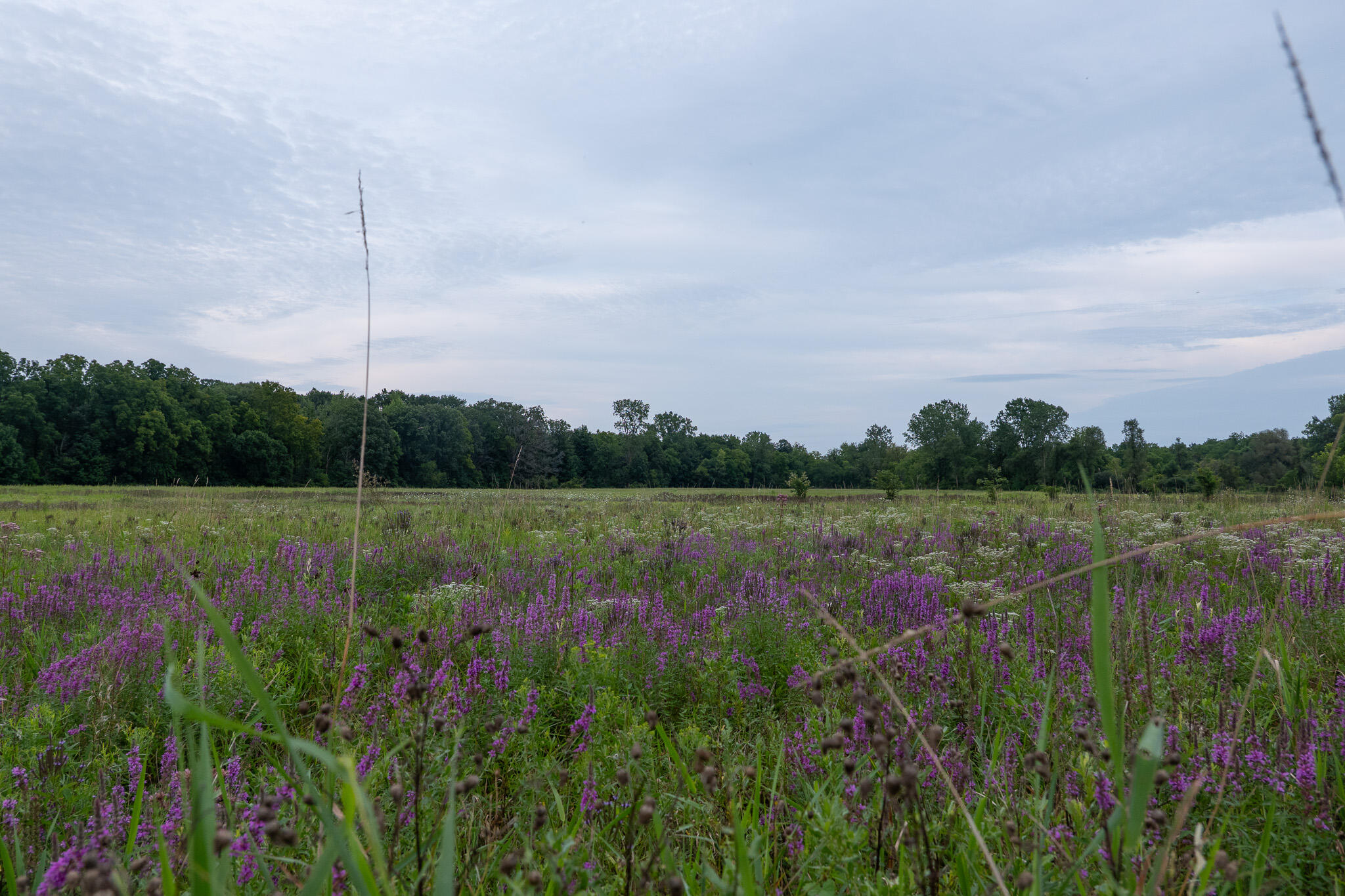 12680 Day Road Property Photo 47