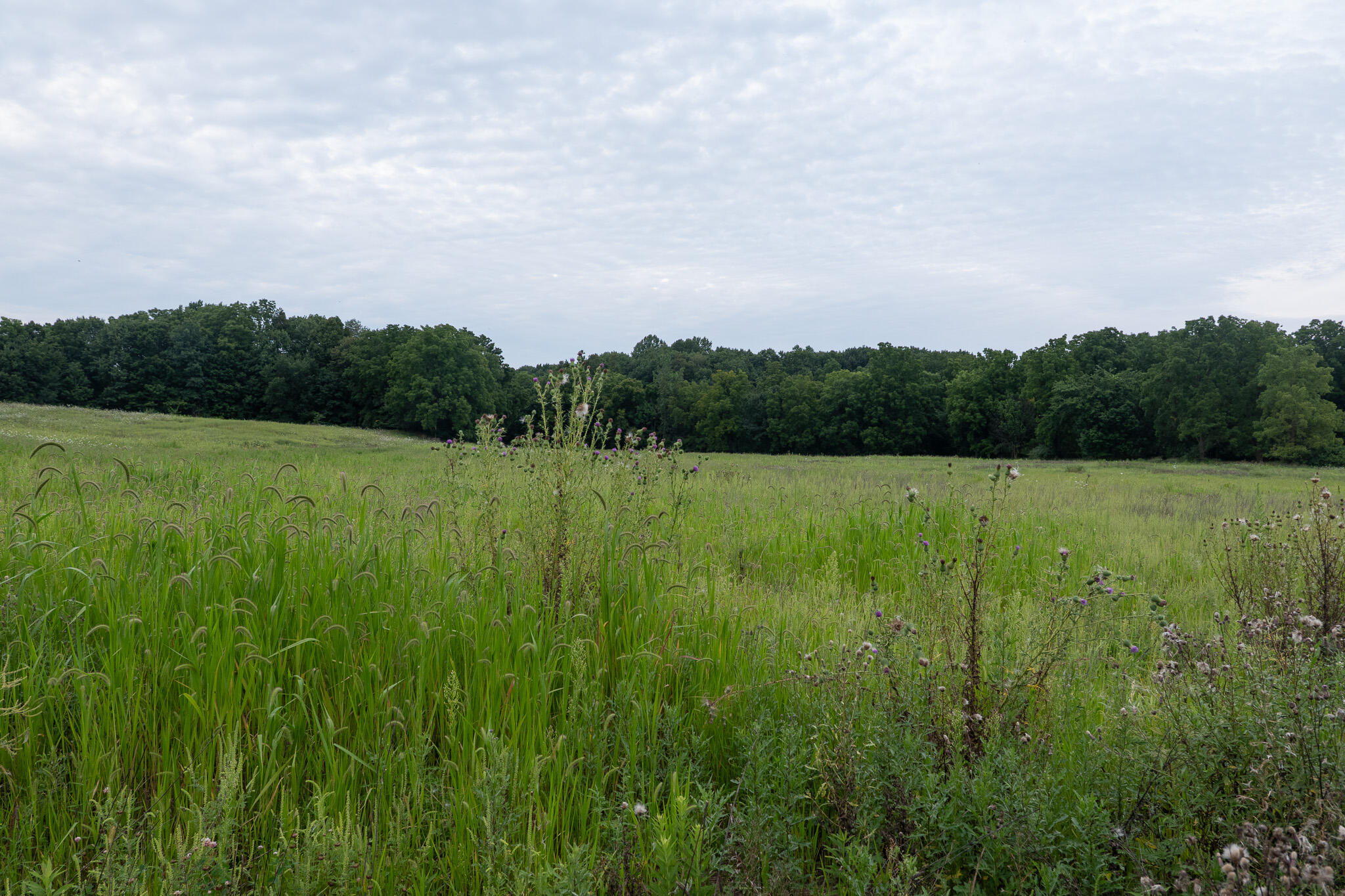 12680 Day Road Property Photo 48