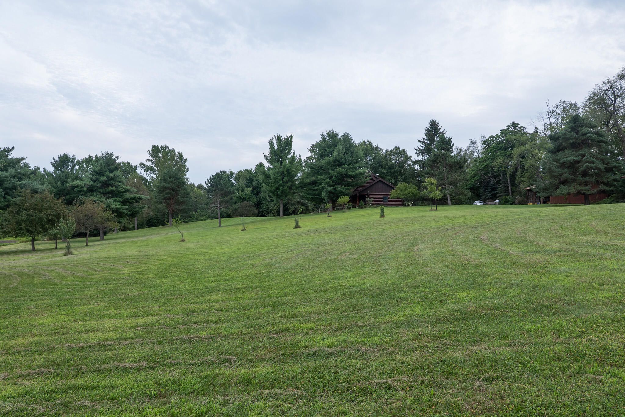 12680 Day Road Property Photo 49