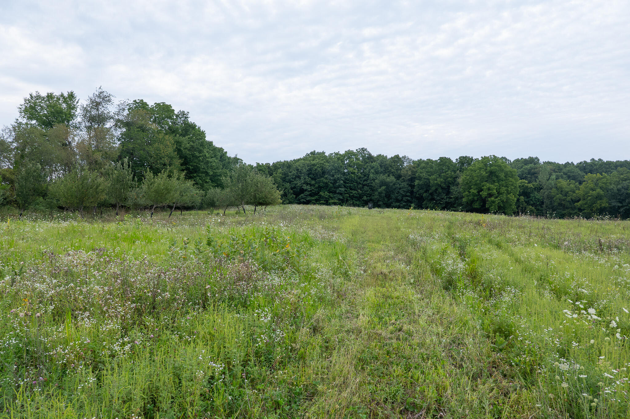 12680 Day Road Property Photo 50