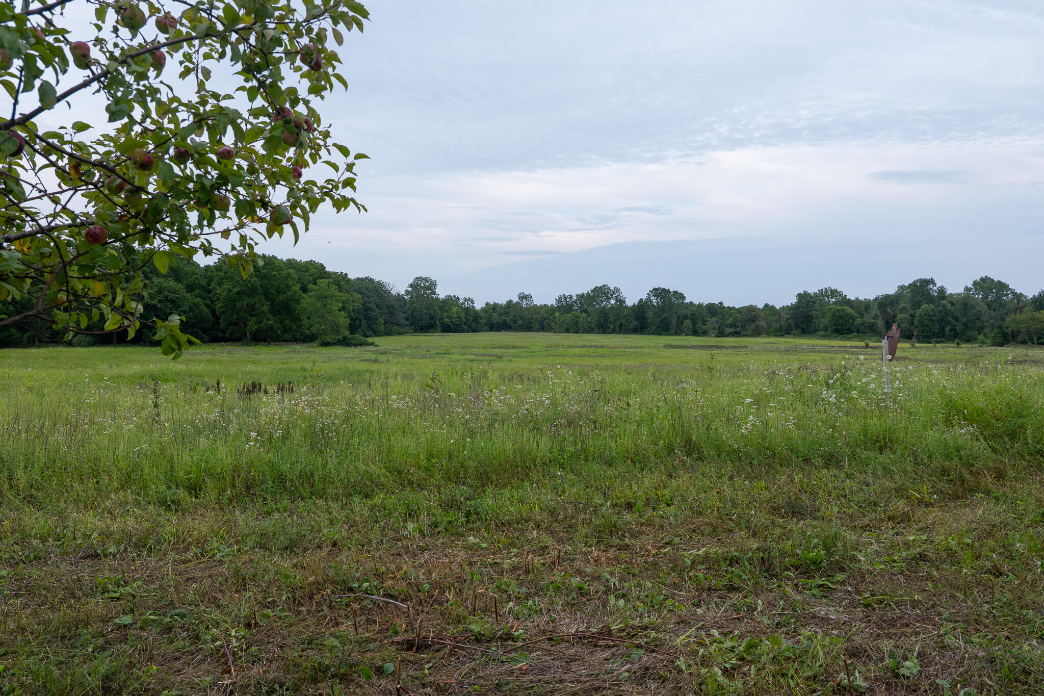 12680 Day Road Property Photo 51
