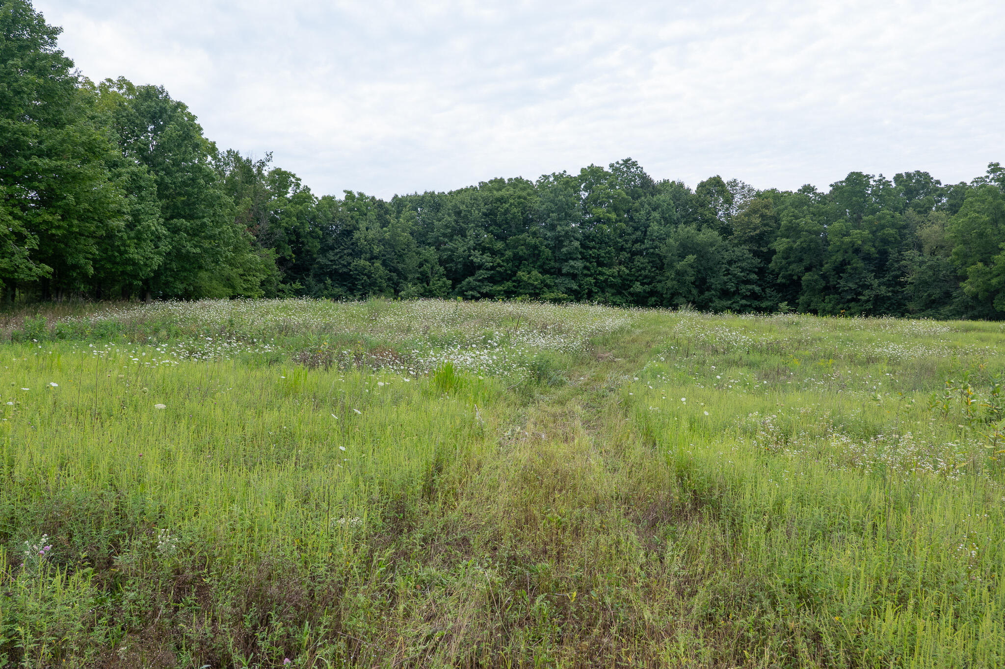 12680 Day Road Property Photo 52