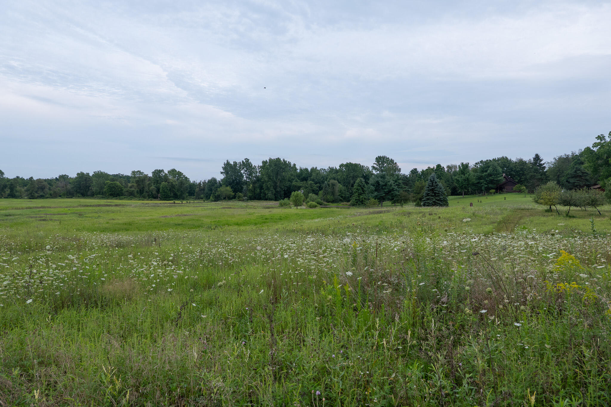 12680 Day Road Property Photo 53