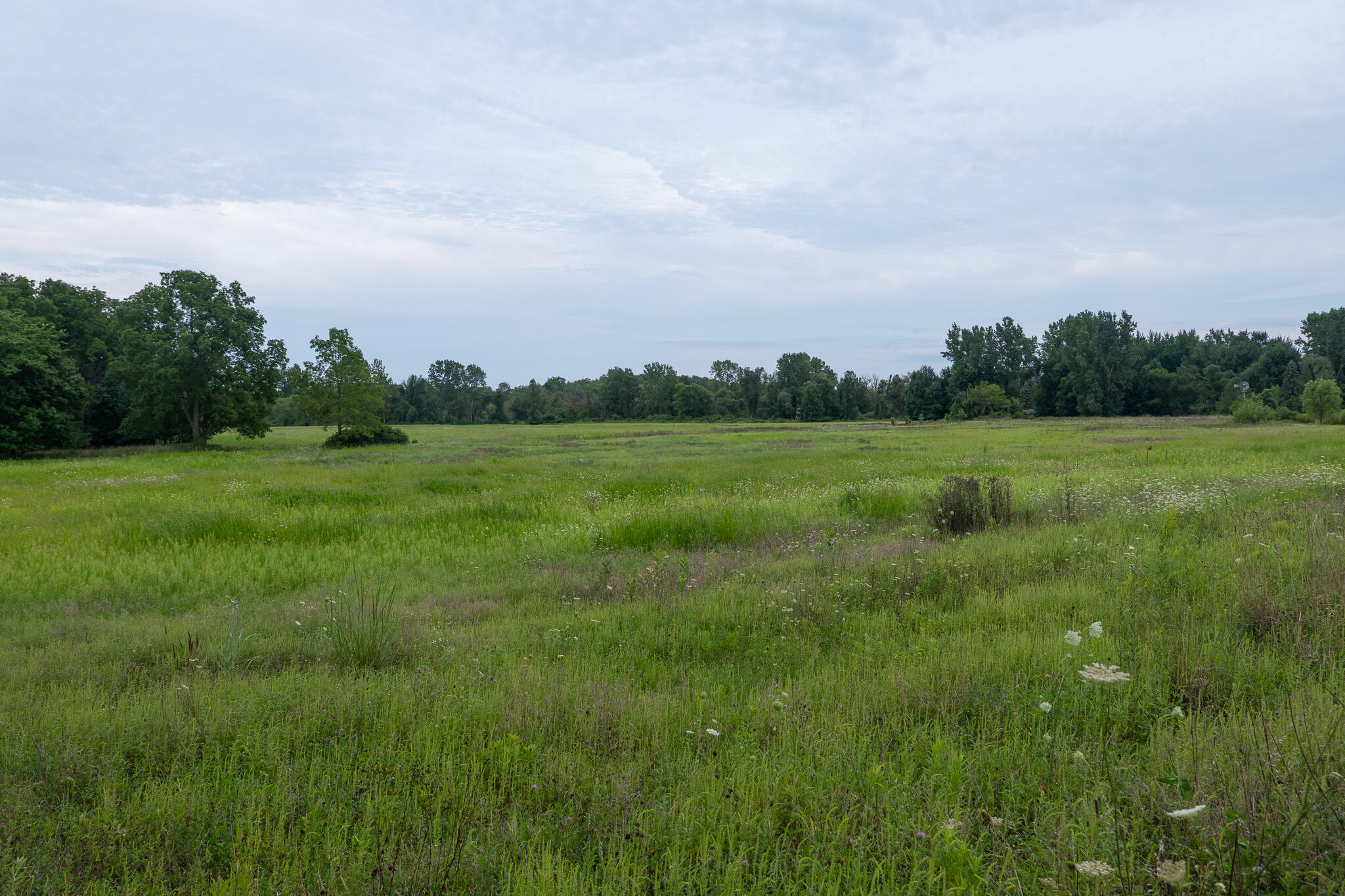12680 Day Road Property Photo 54