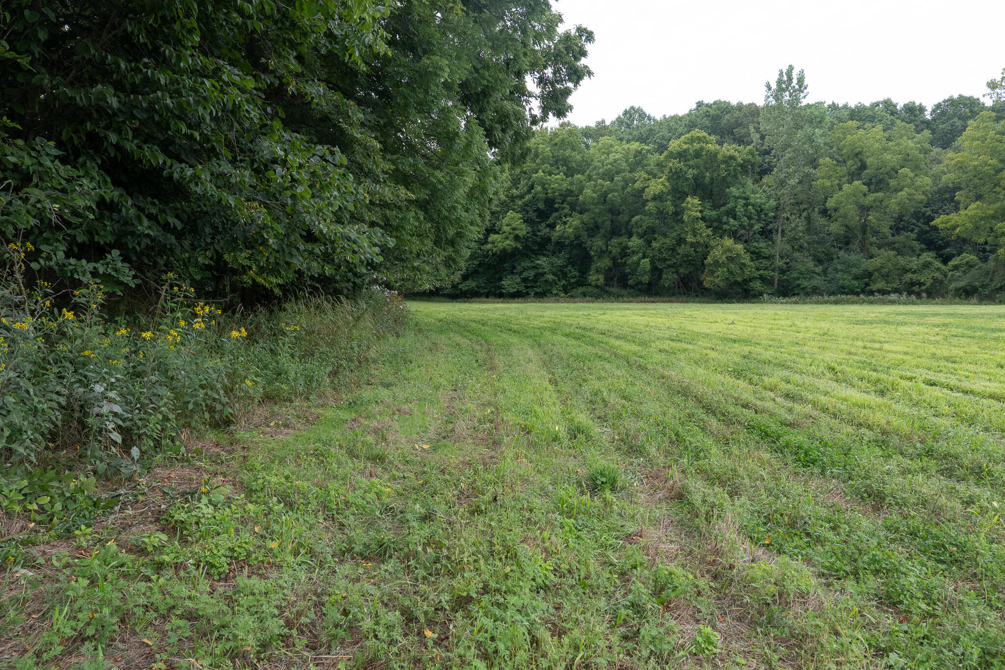 12680 Day Road Property Photo 55