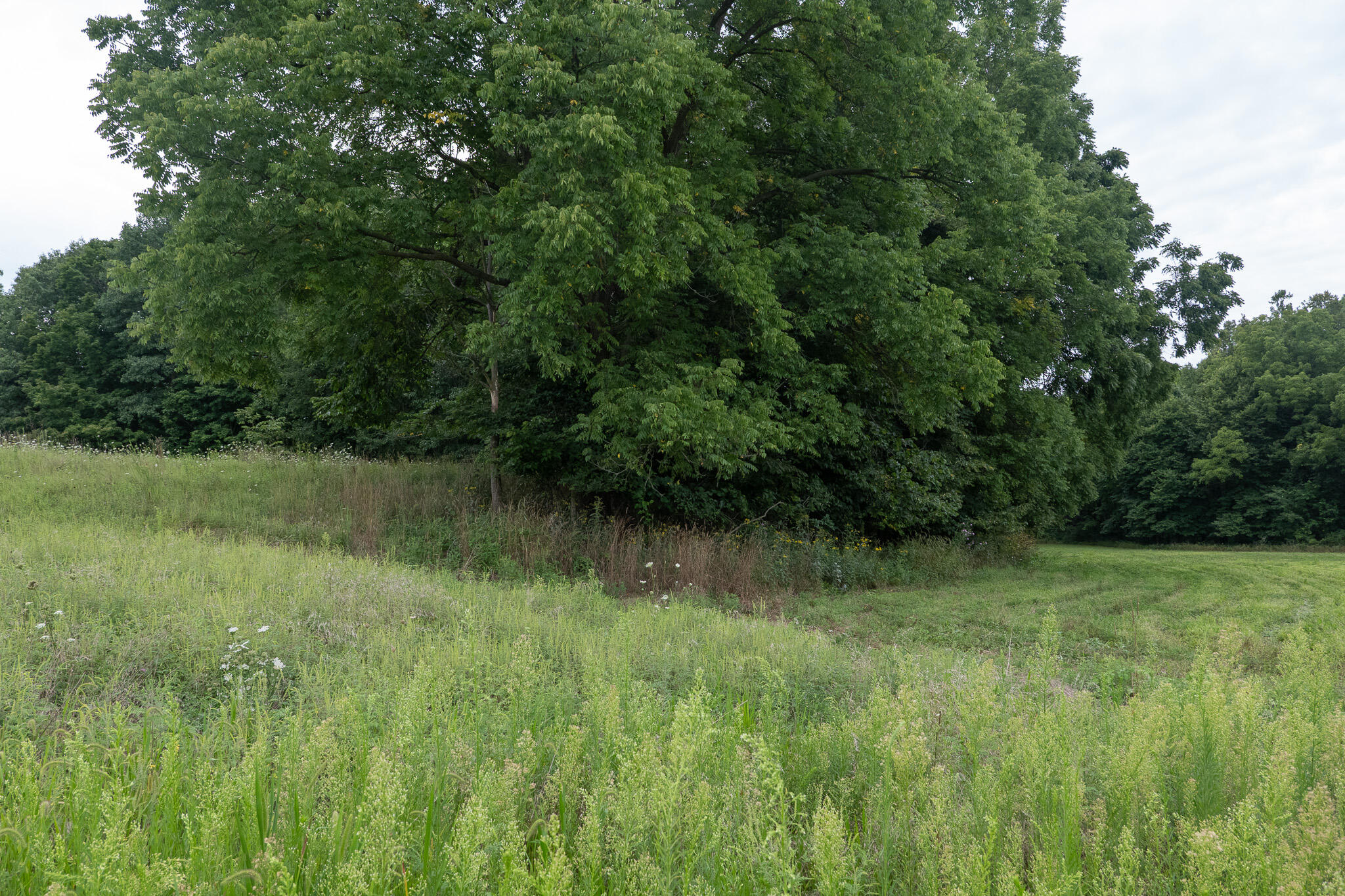 12680 Day Road Property Photo 56
