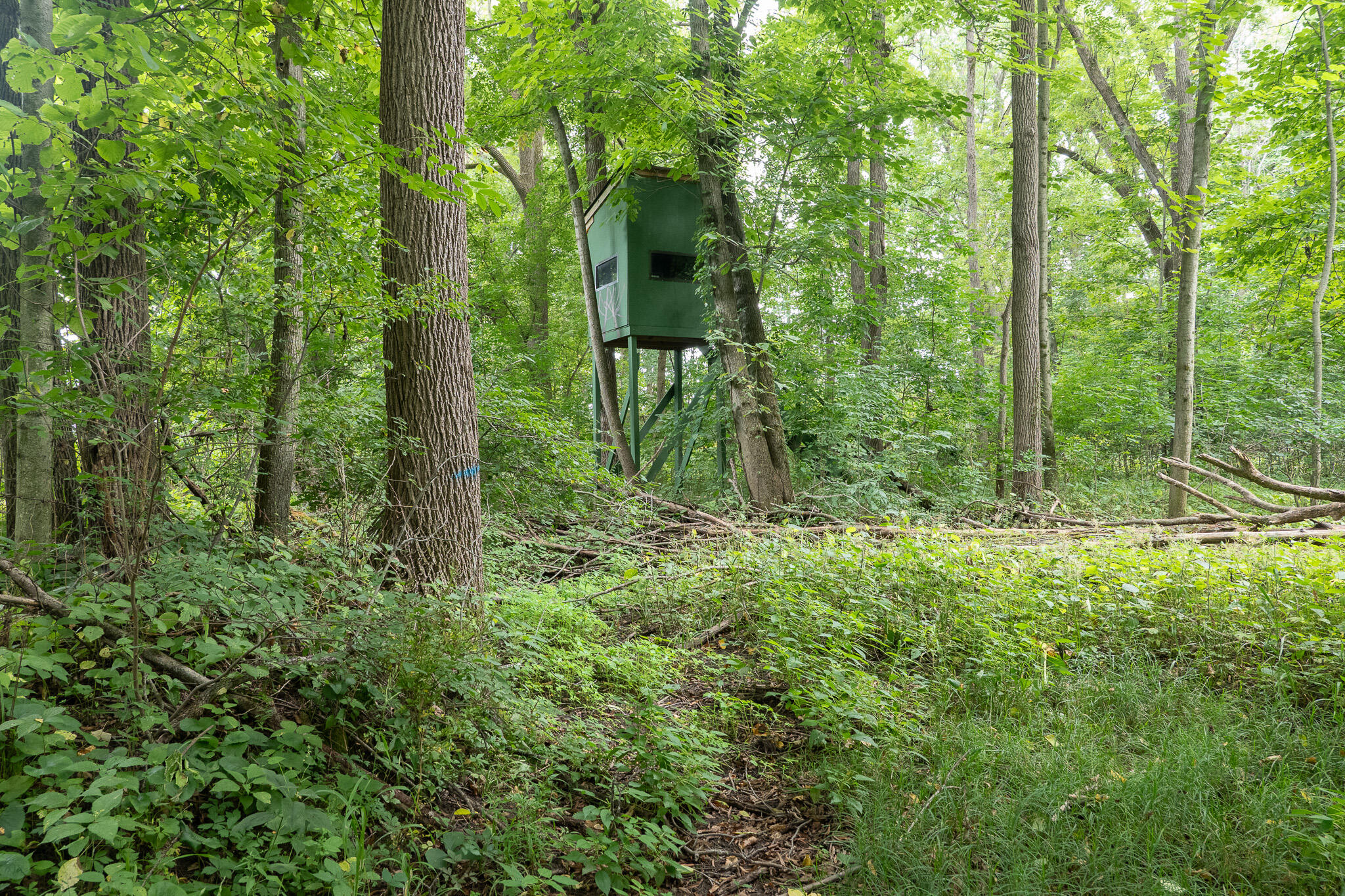 12680 Day Road Property Photo 58