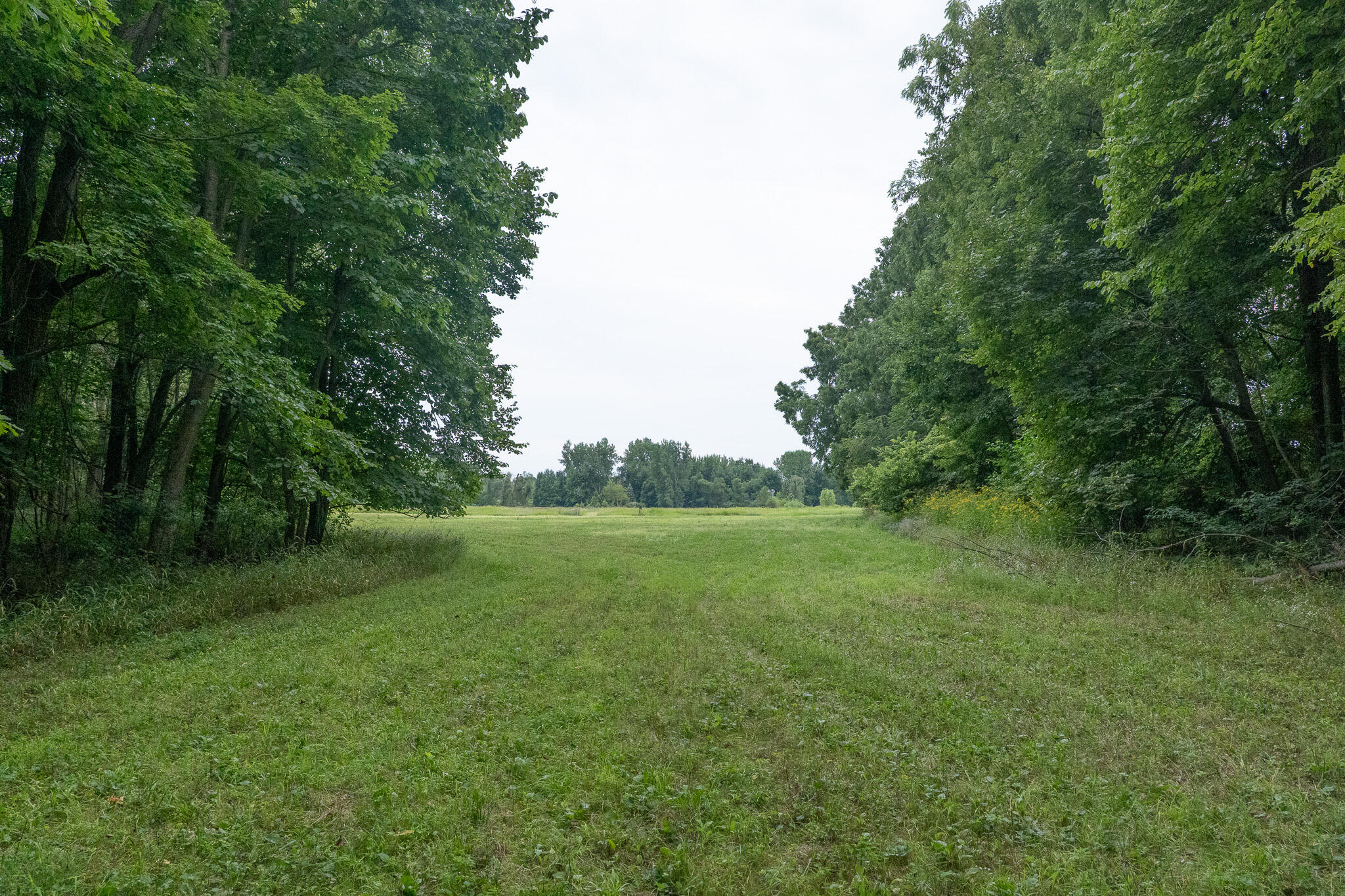 12680 Day Road Property Photo 59