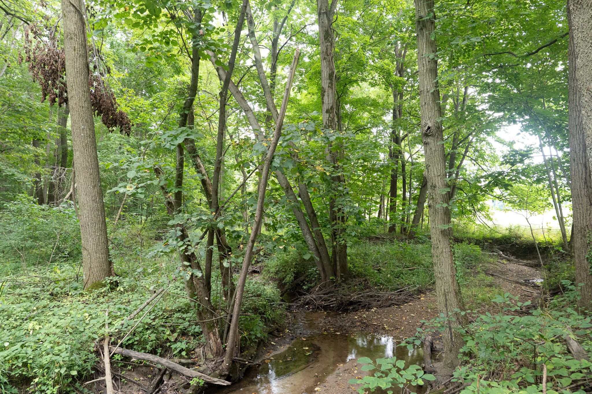 12680 Day Road Property Photo 61