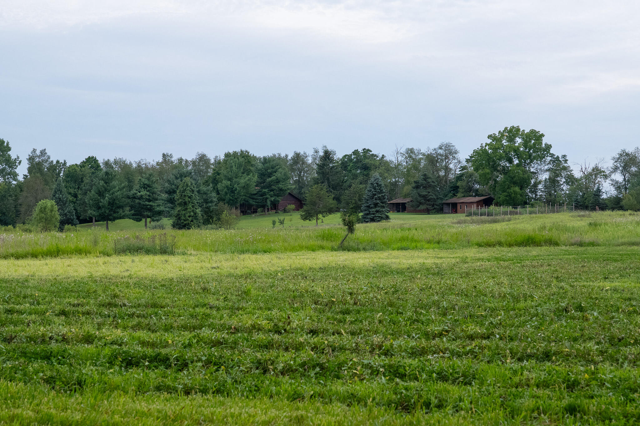 12680 Day Road Property Photo 62