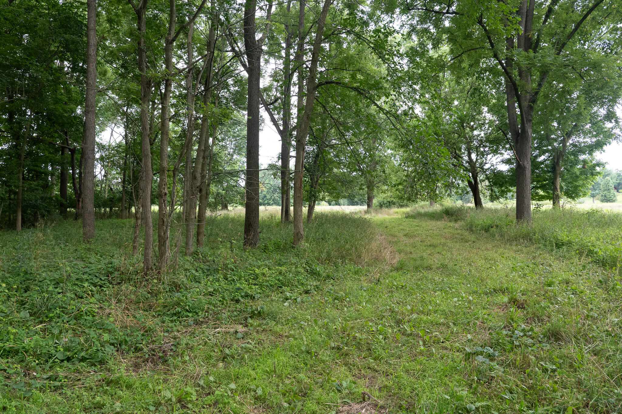 12680 Day Road Property Photo 63