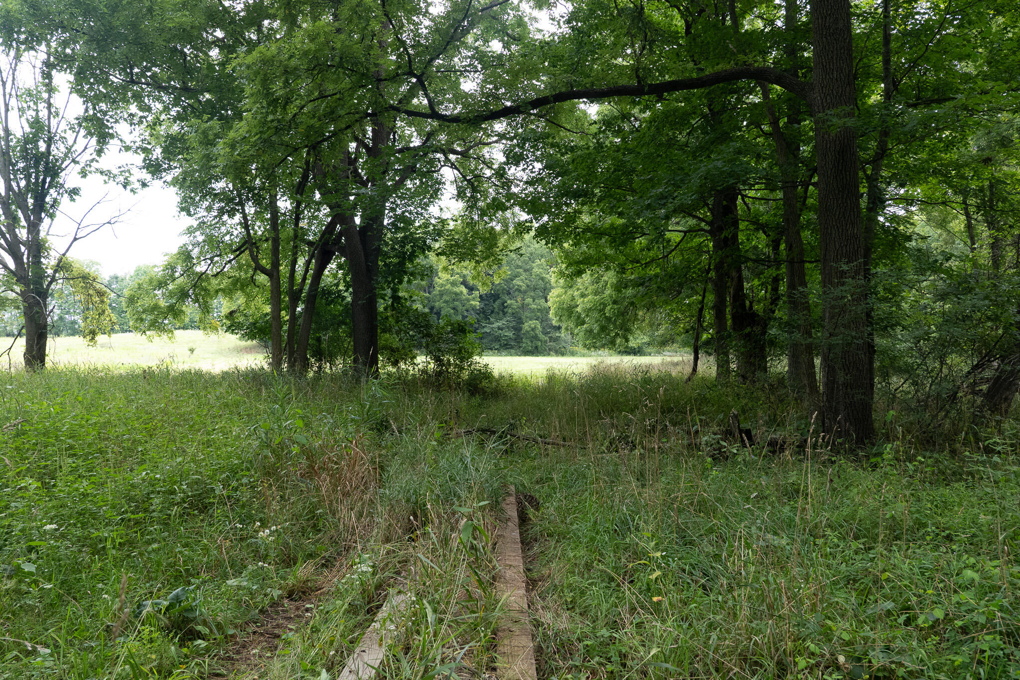 12680 Day Road Property Photo 64