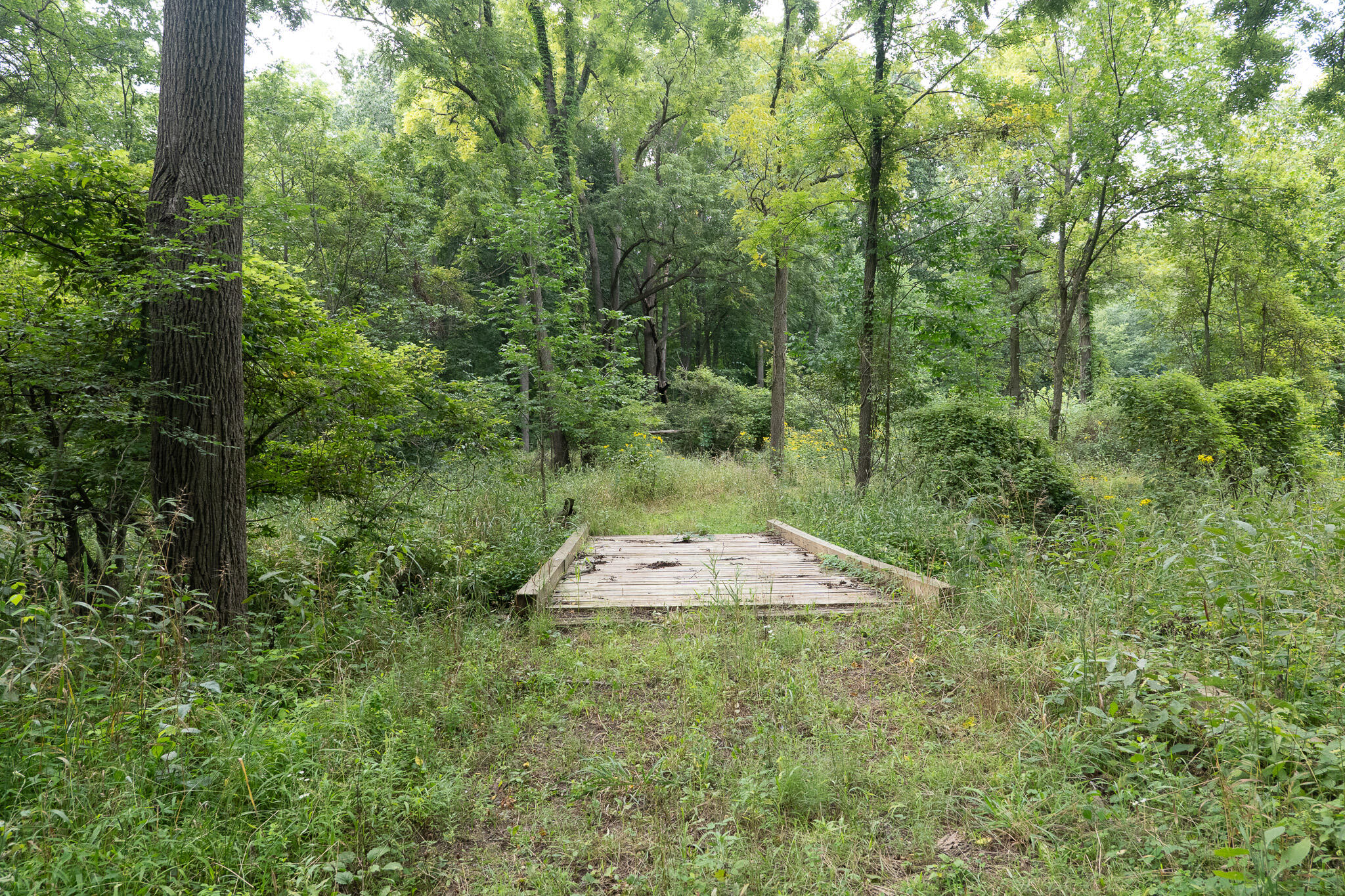 12680 Day Road Property Photo 65