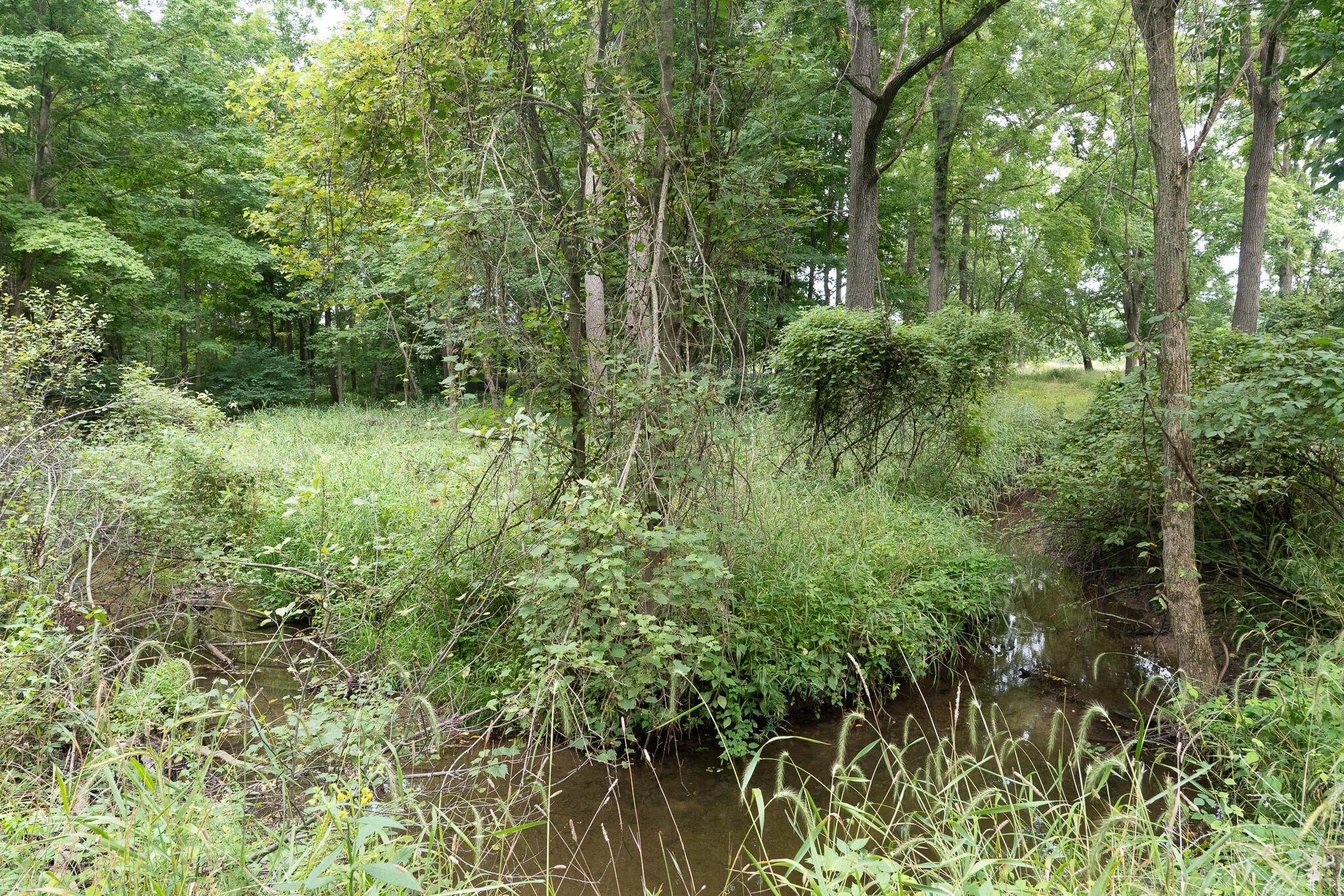 12680 Day Road Property Photo 66