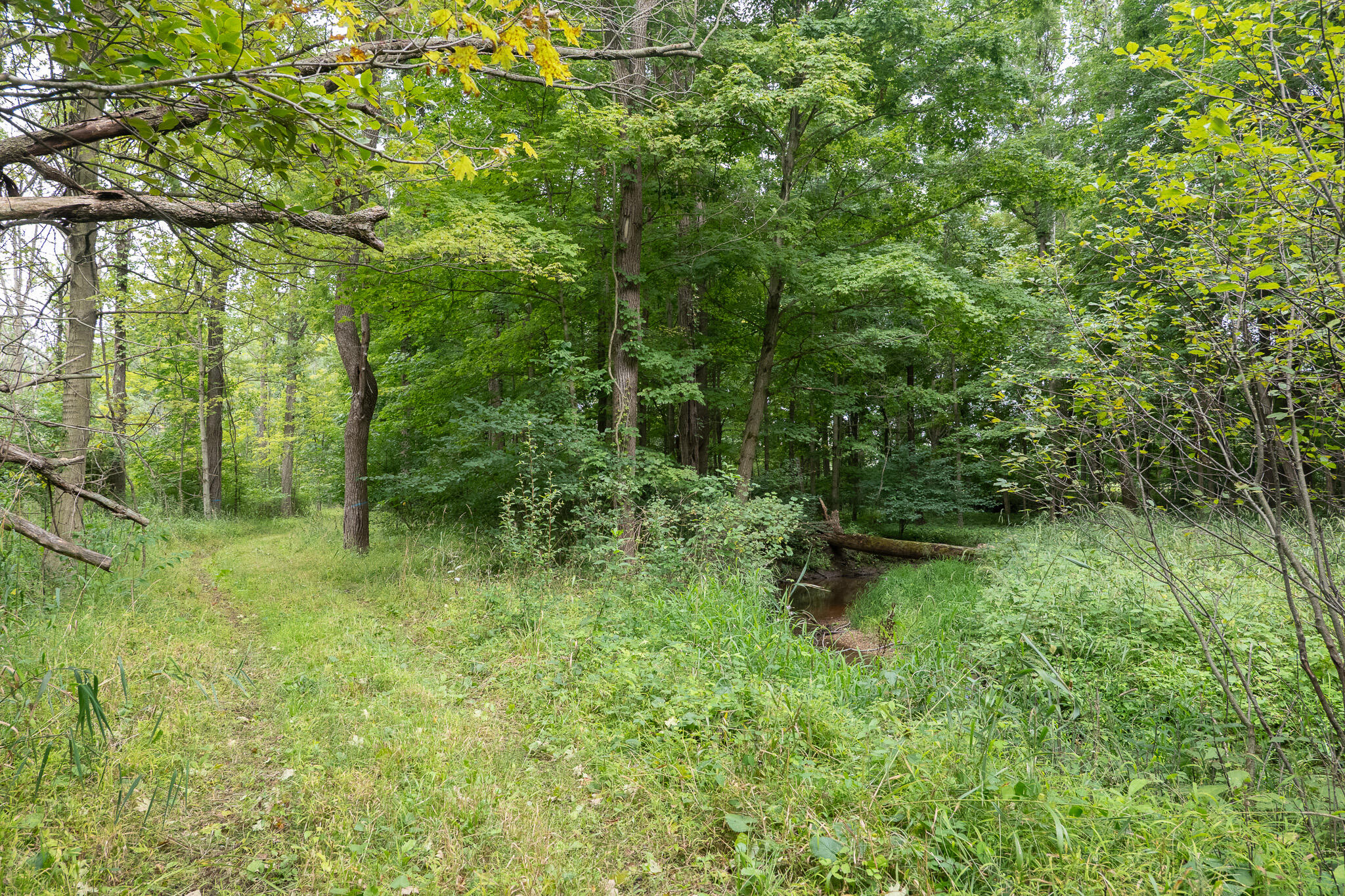 12680 Day Road Property Photo 67