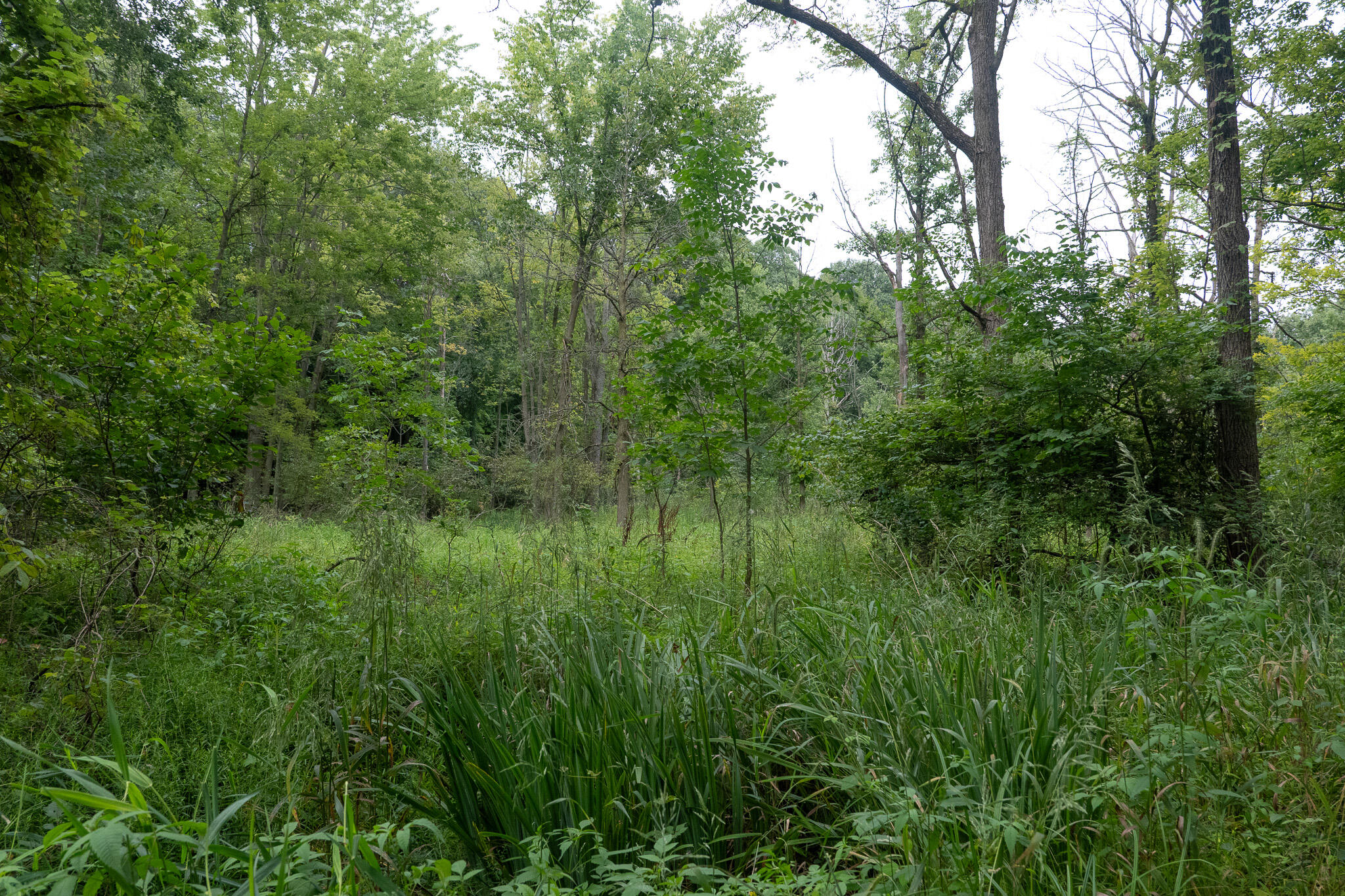 12680 Day Road Property Photo 68