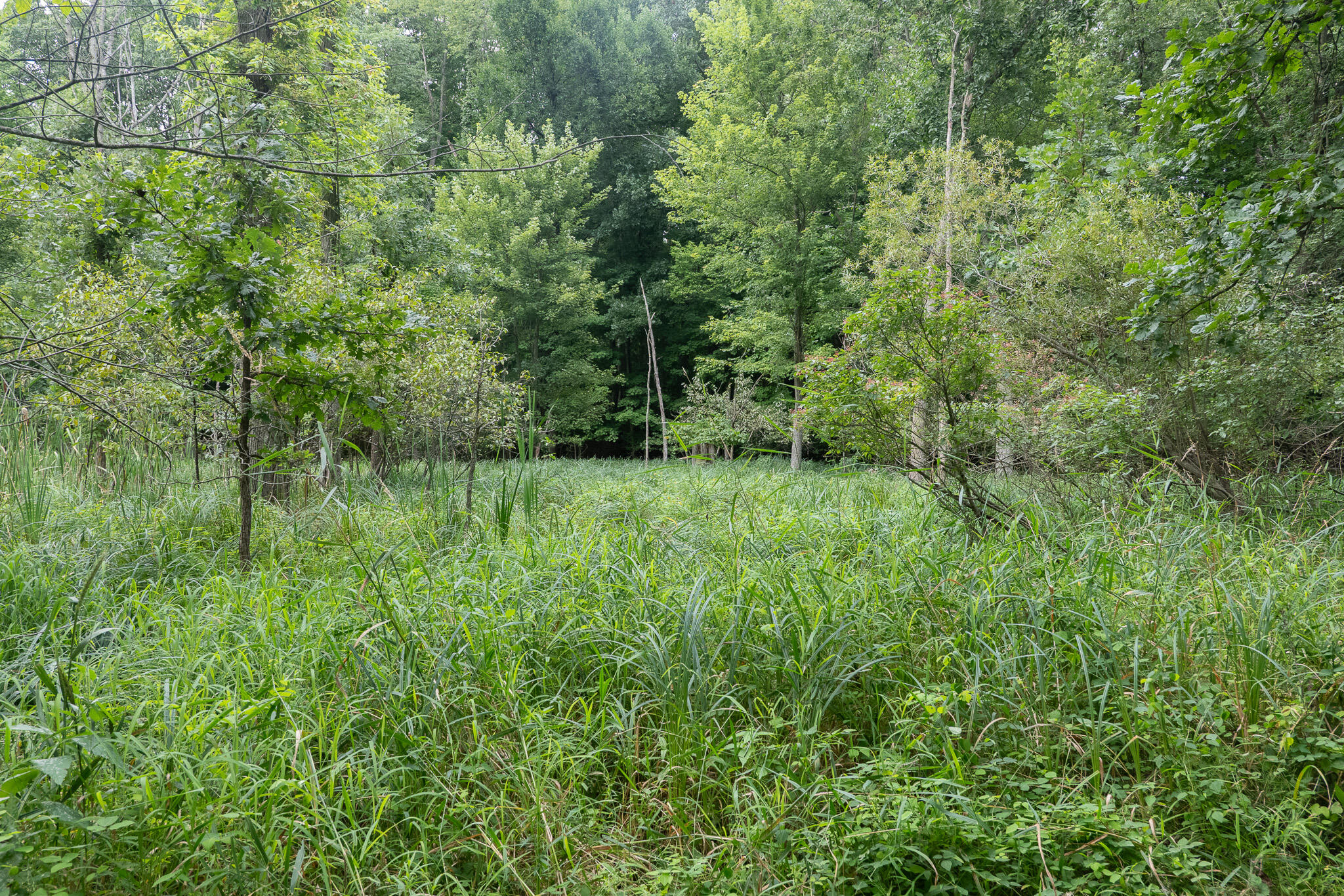 12680 Day Road Property Photo 69