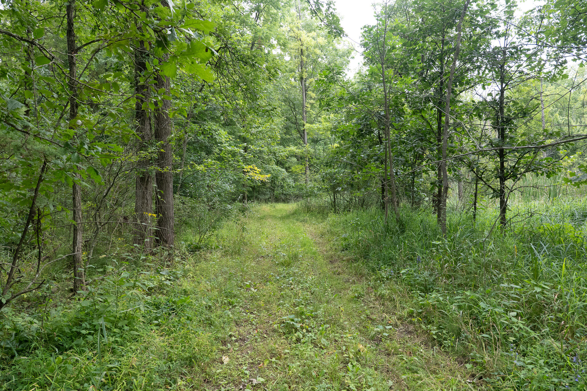 12680 Day Road Property Photo 70
