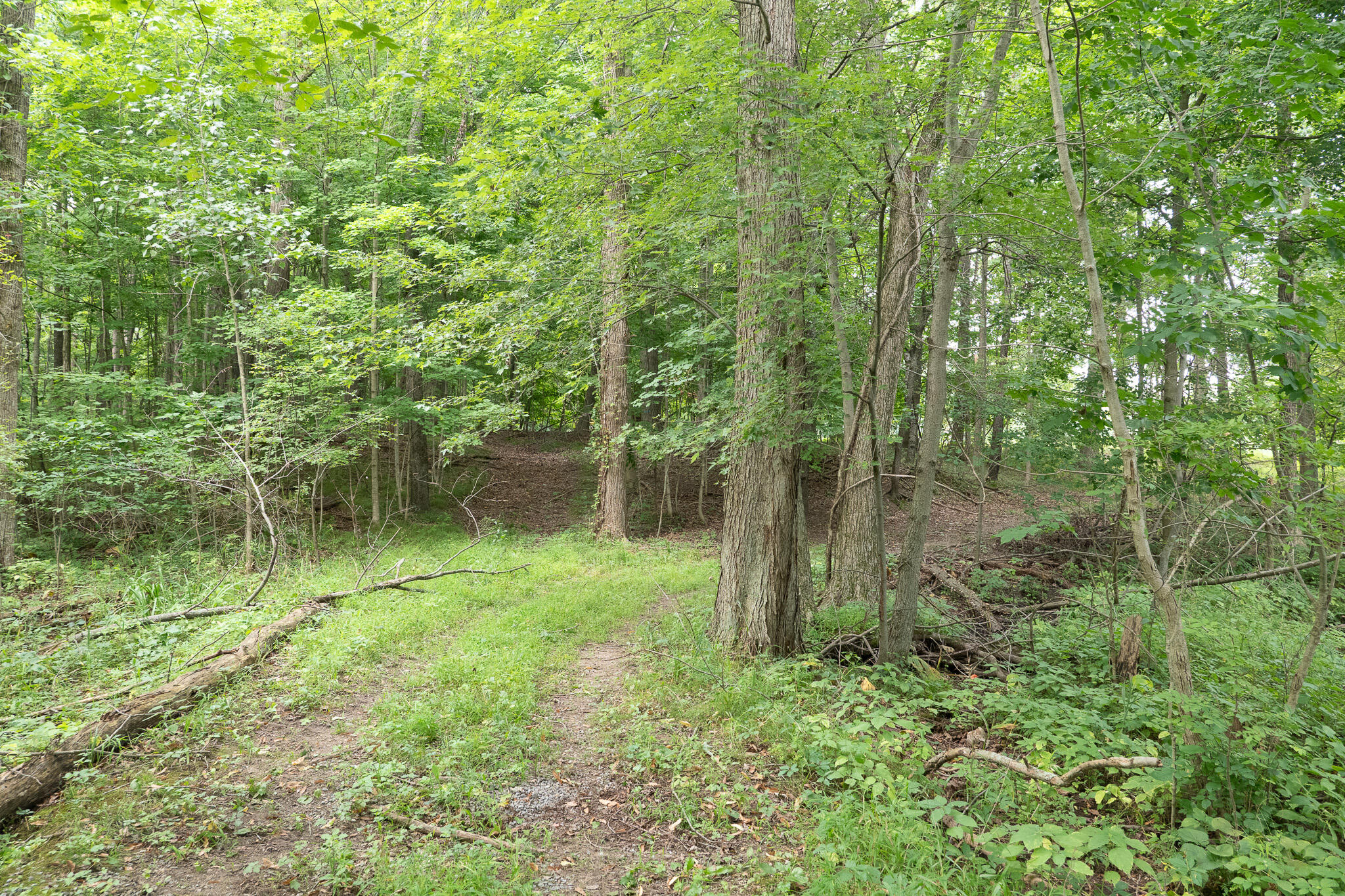 12680 Day Road Property Photo 71