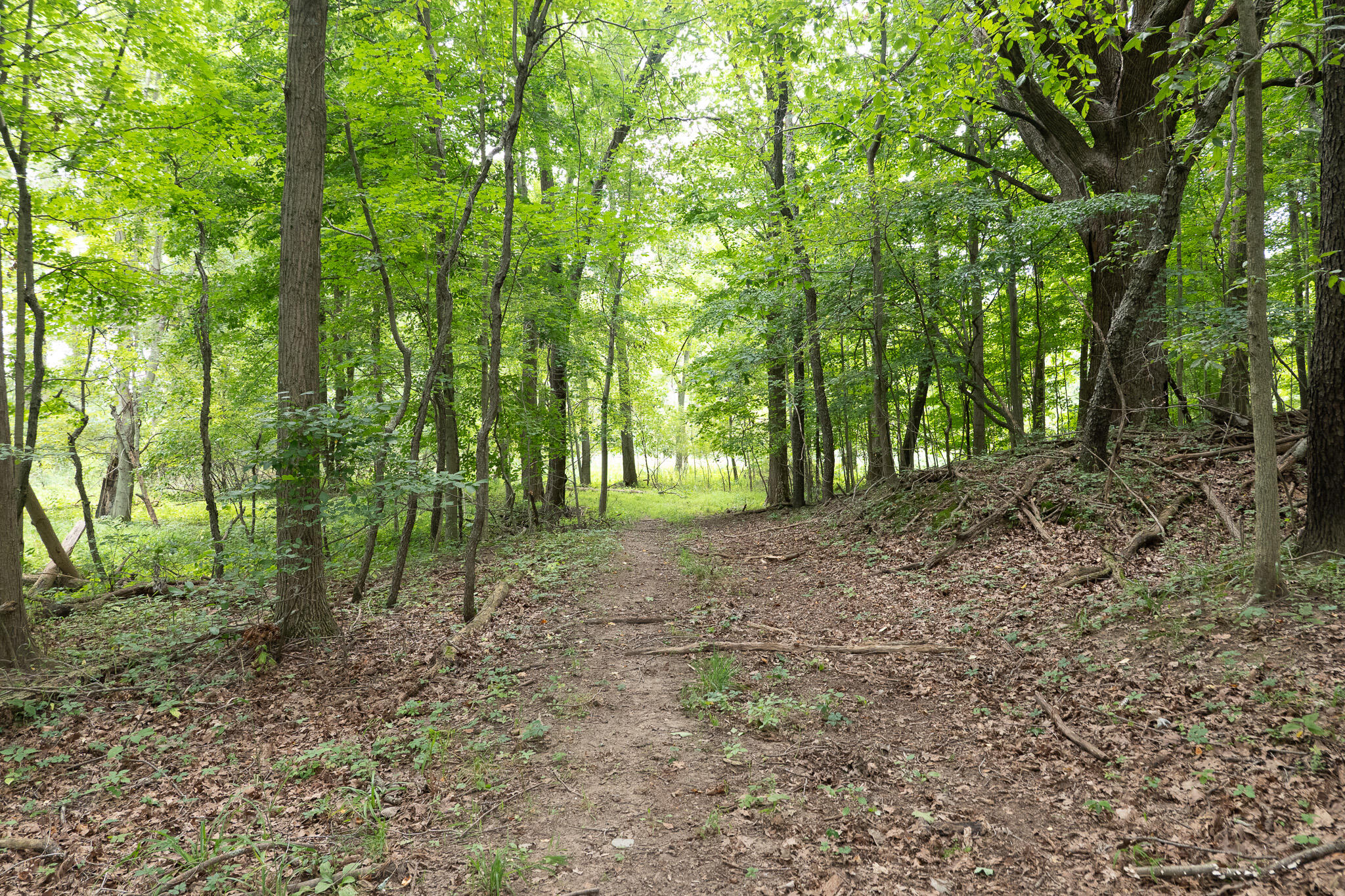 12680 Day Road Property Photo 72