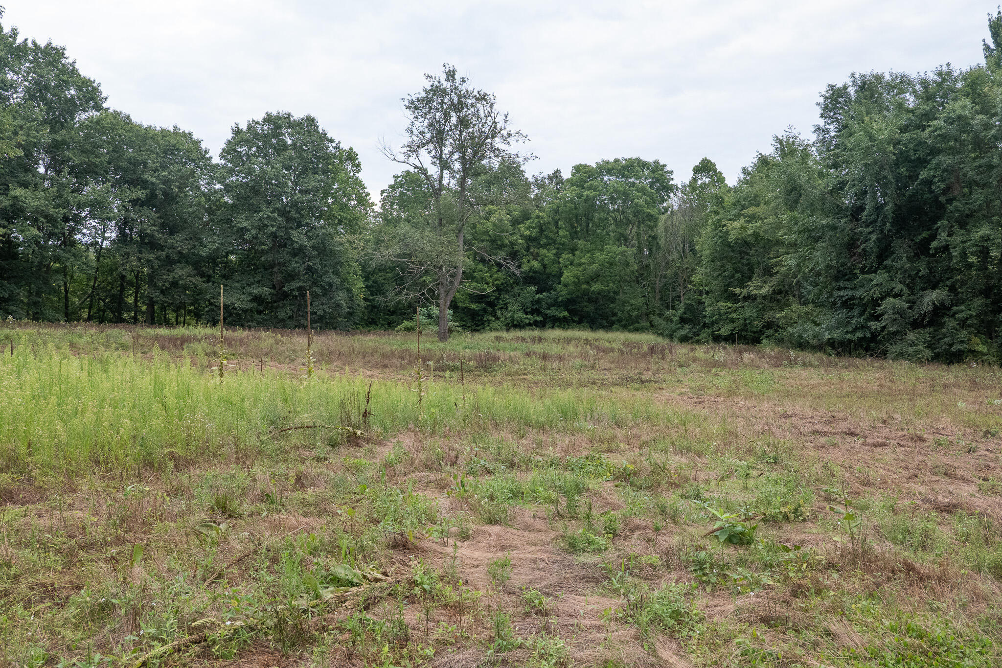 12680 Day Road Property Photo 75