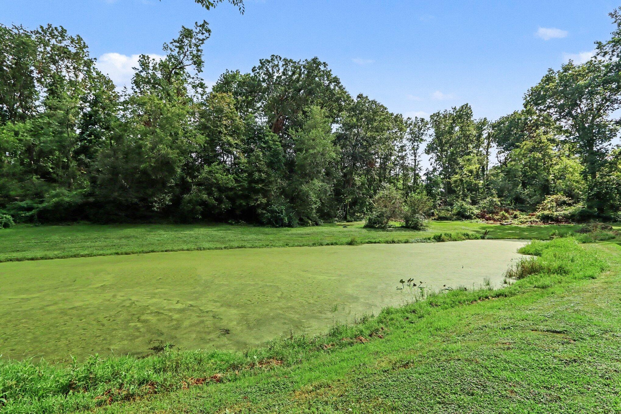 67747 Thunderbird Drive Property Photo 11