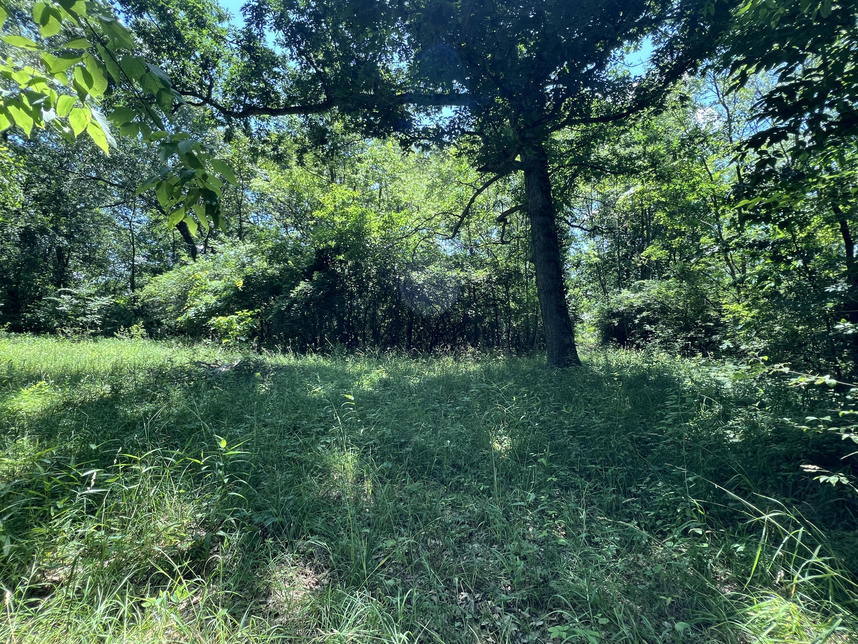 69535 Turkey Trail Drive Property Photo 7