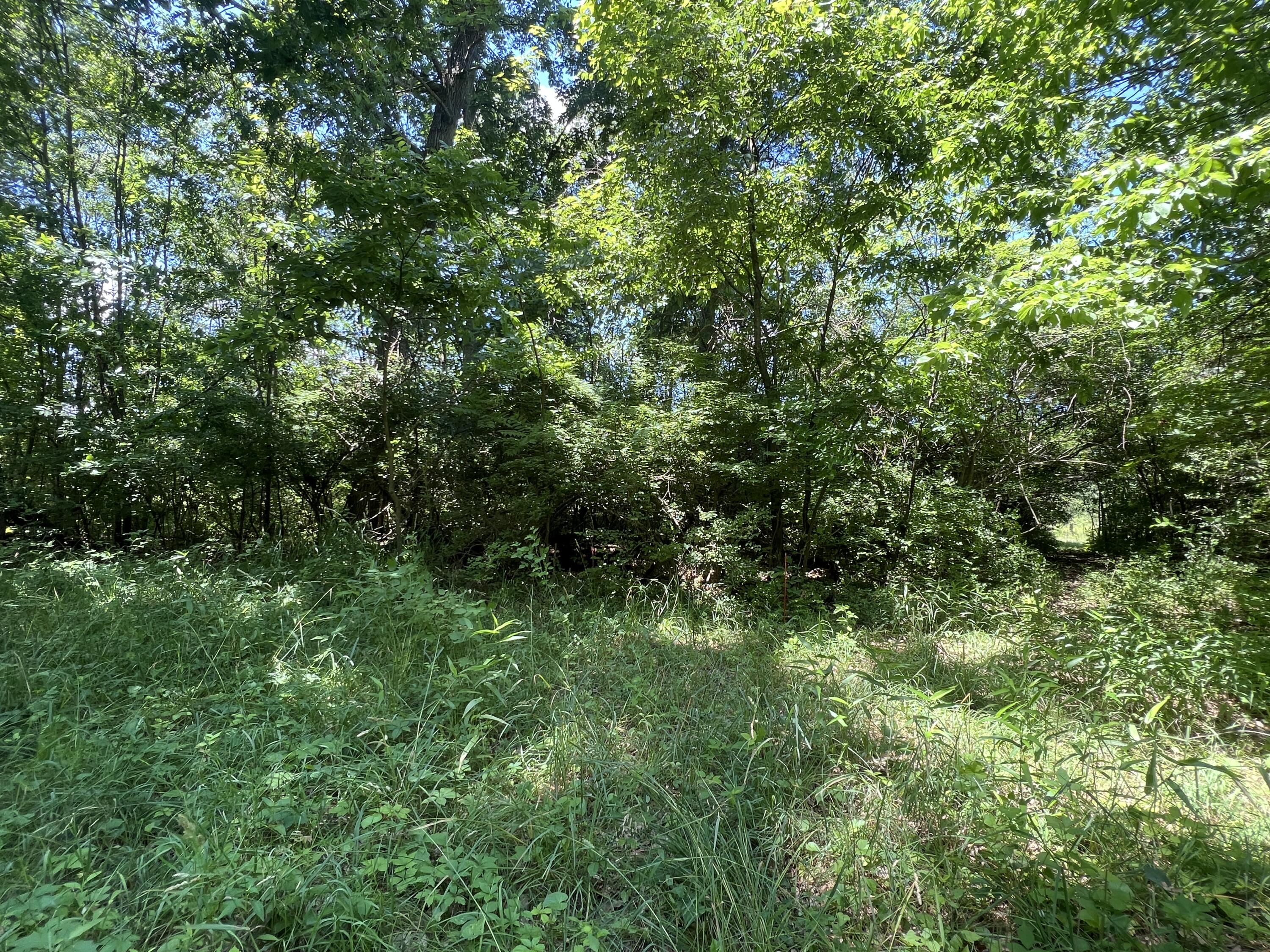 69535 Turkey Trail Drive Property Photo 9