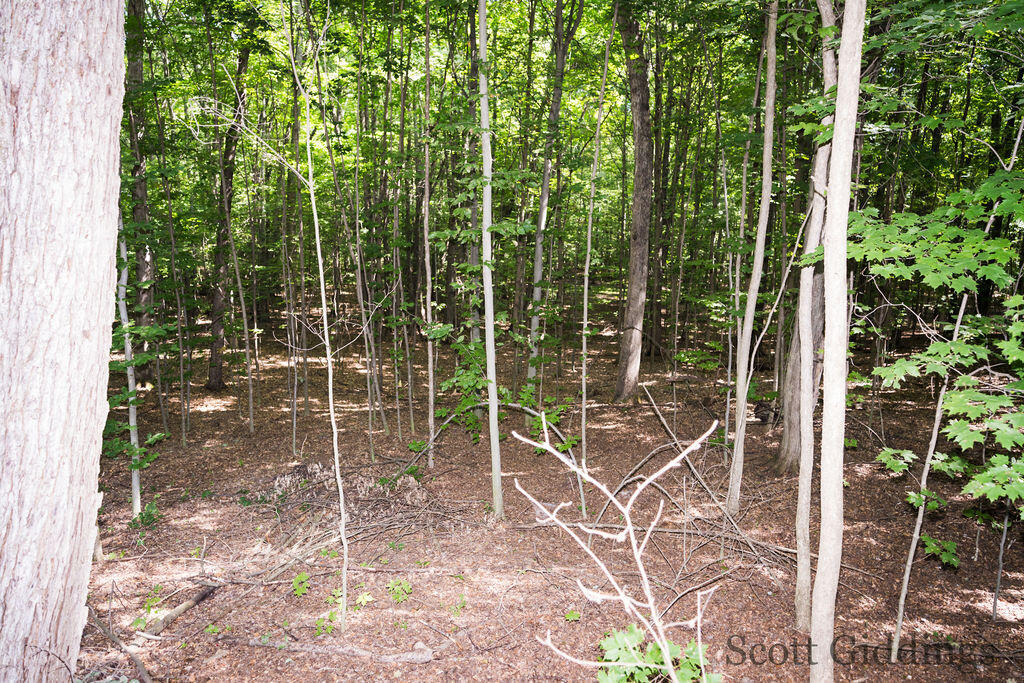 3750 N Hillman Road Property Photo 38